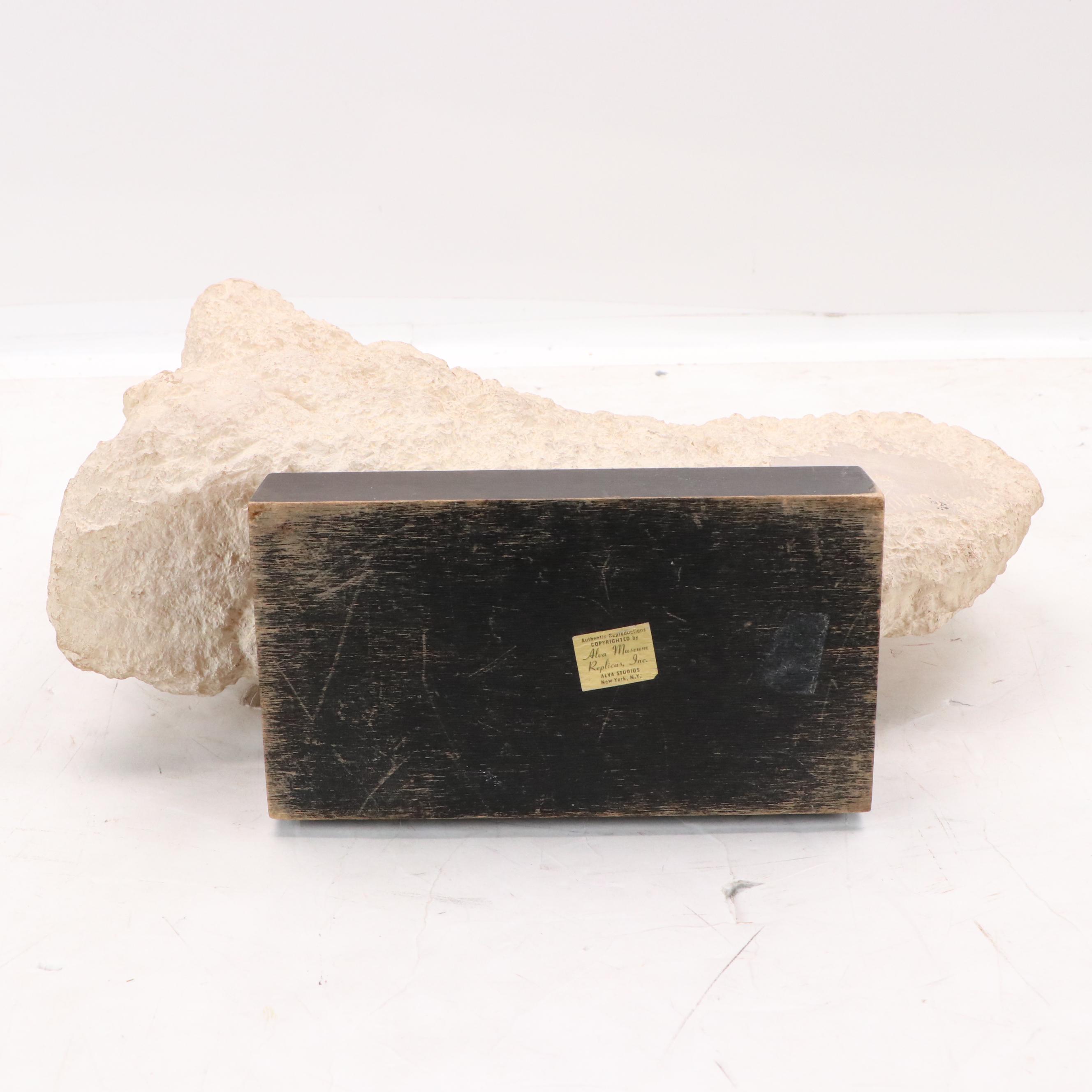 Resin Sculpture After Peggy Mach "Cloud Phantasy," 1972