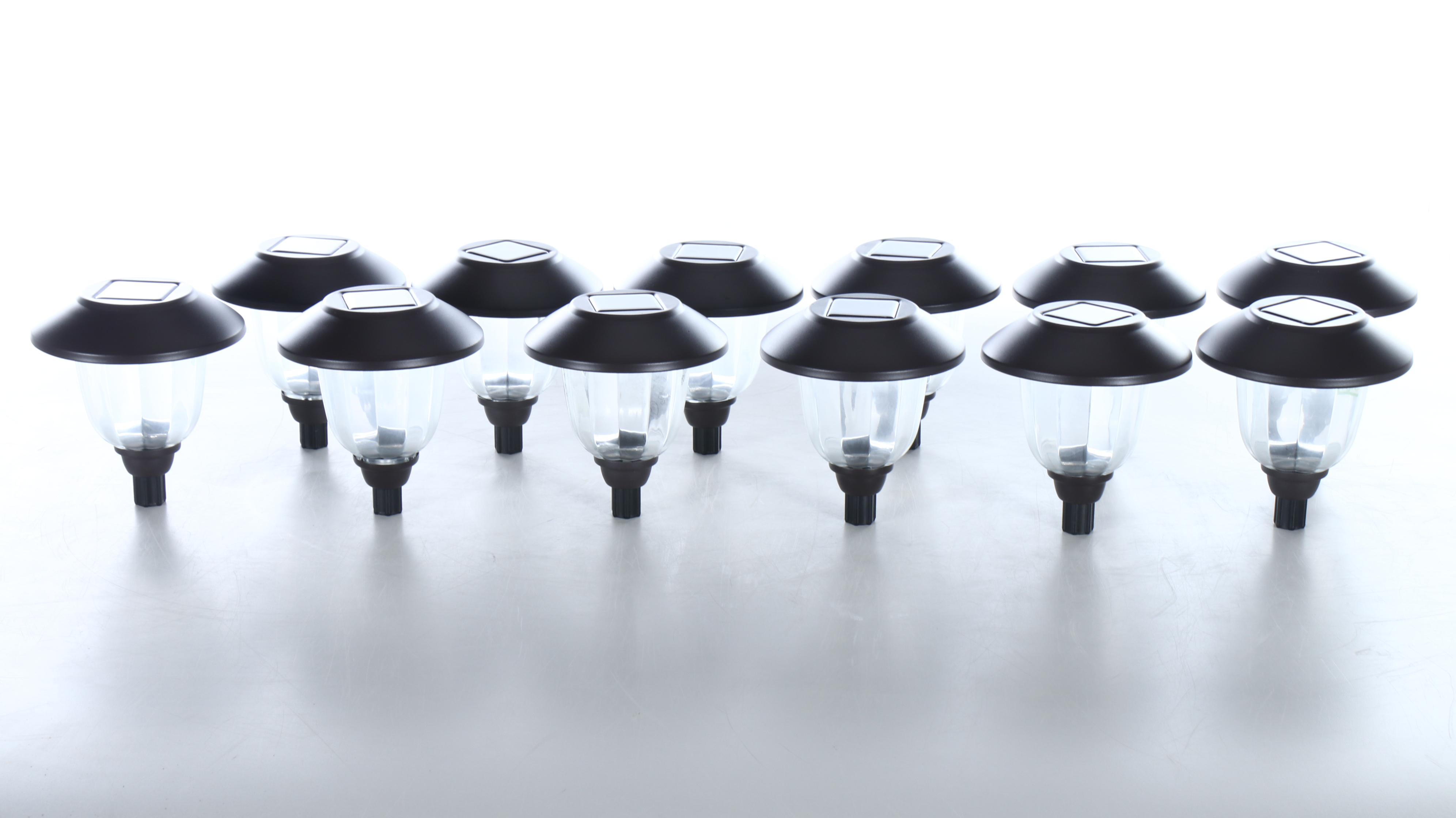 DynaTrap with Solar Garden Accent Lights