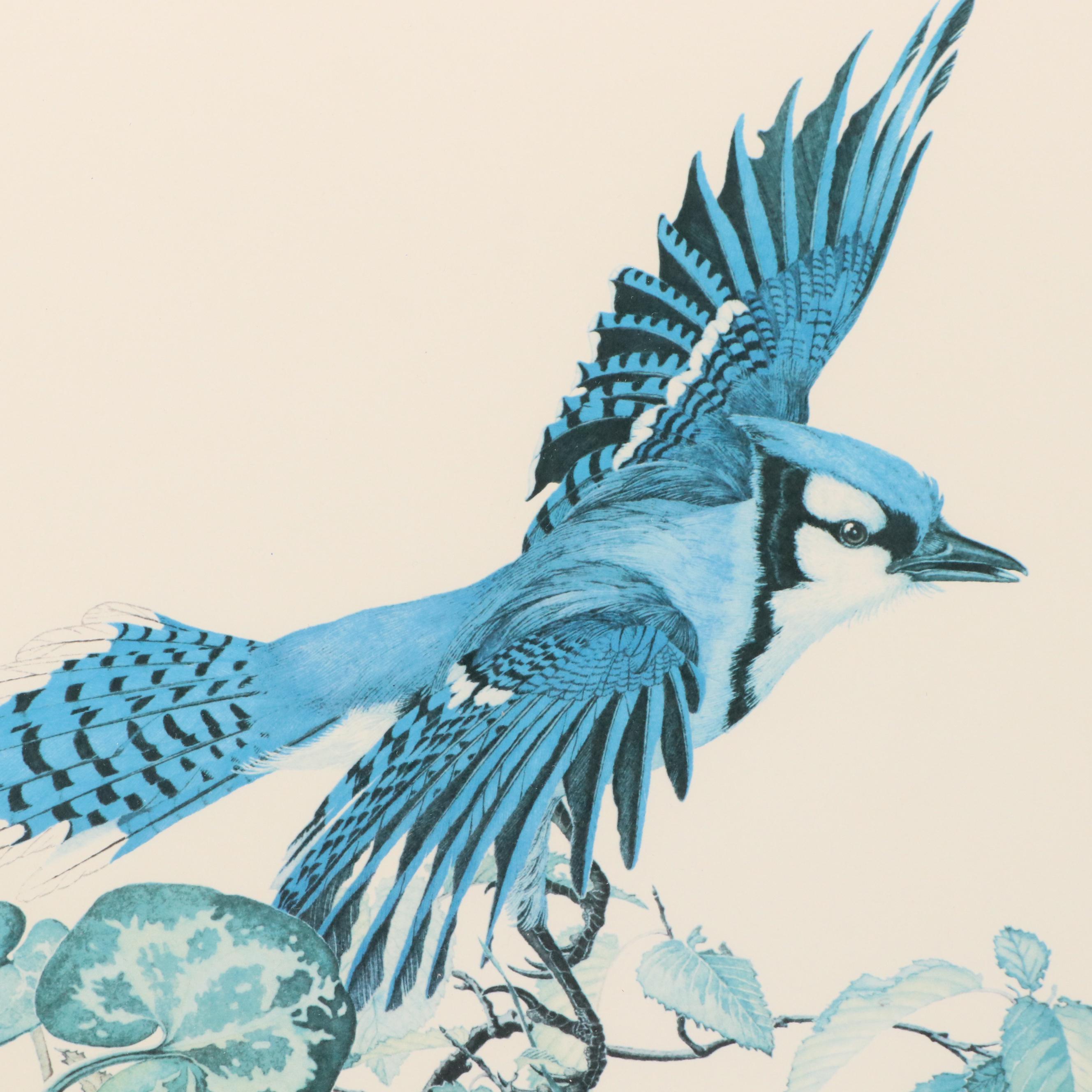 Sallie Ellington Middleton Offset Lithograph "Blue Jay"