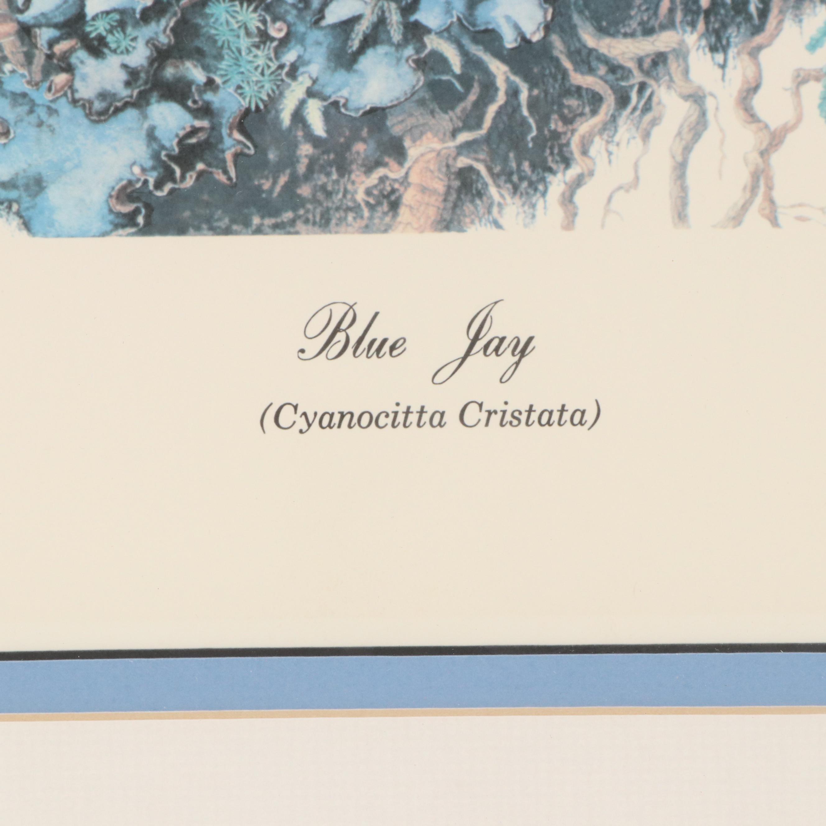 Sallie Ellington Middleton Offset Lithograph "Blue Jay"