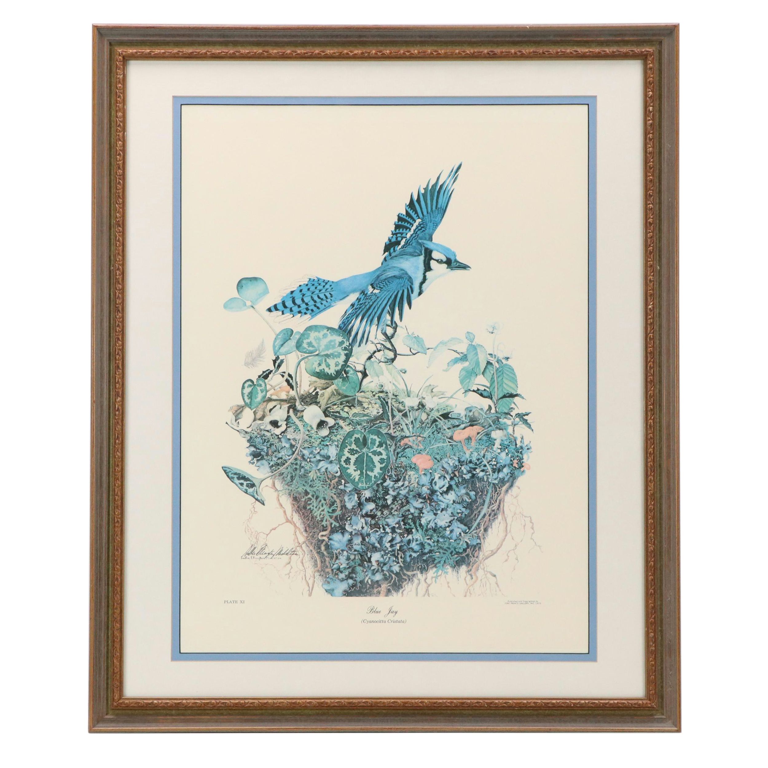 Sallie Ellington Middleton Offset Lithograph "Blue Jay"