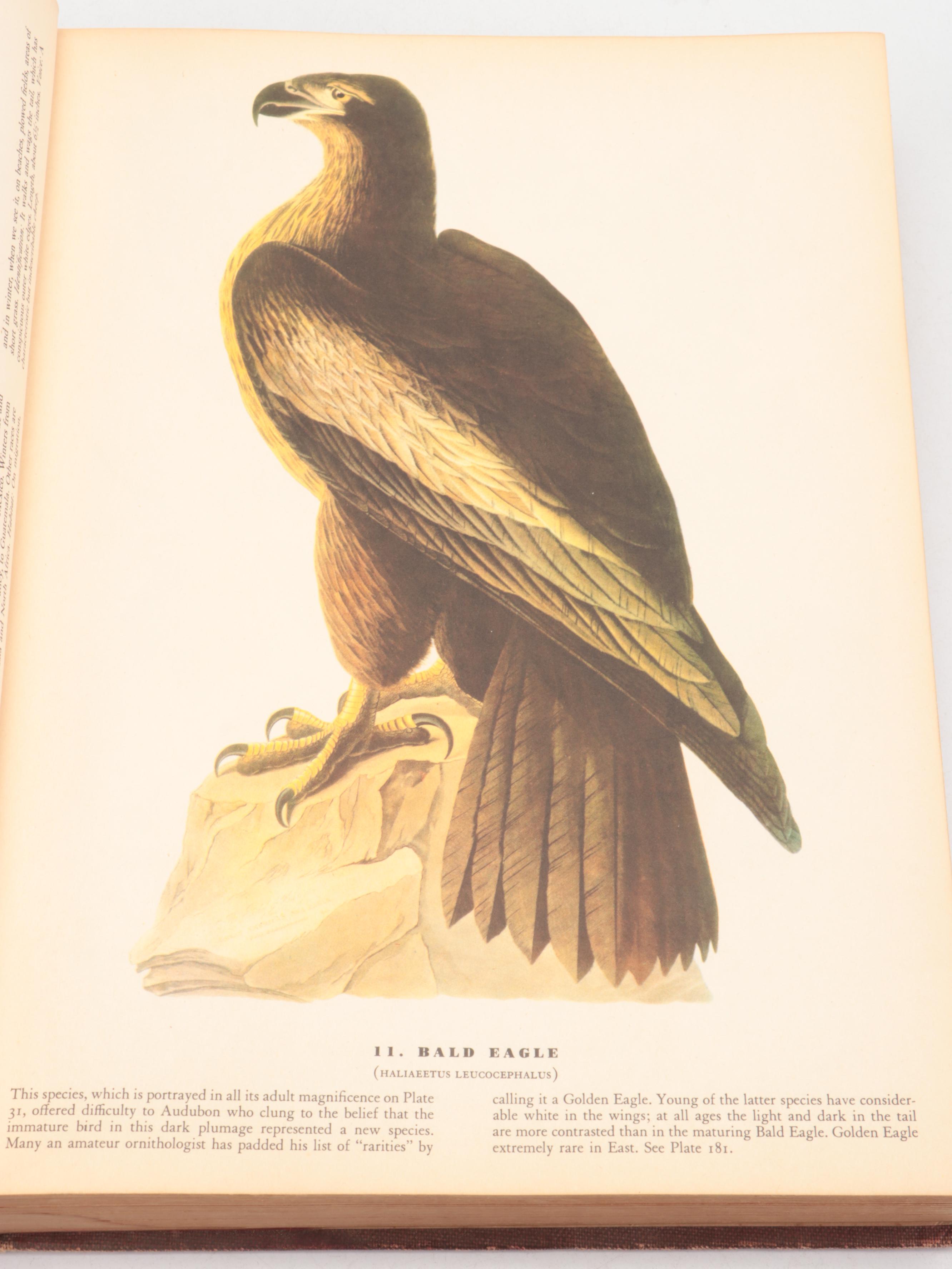 Third Printing "The Birds of America" by John James Audubon, 1942