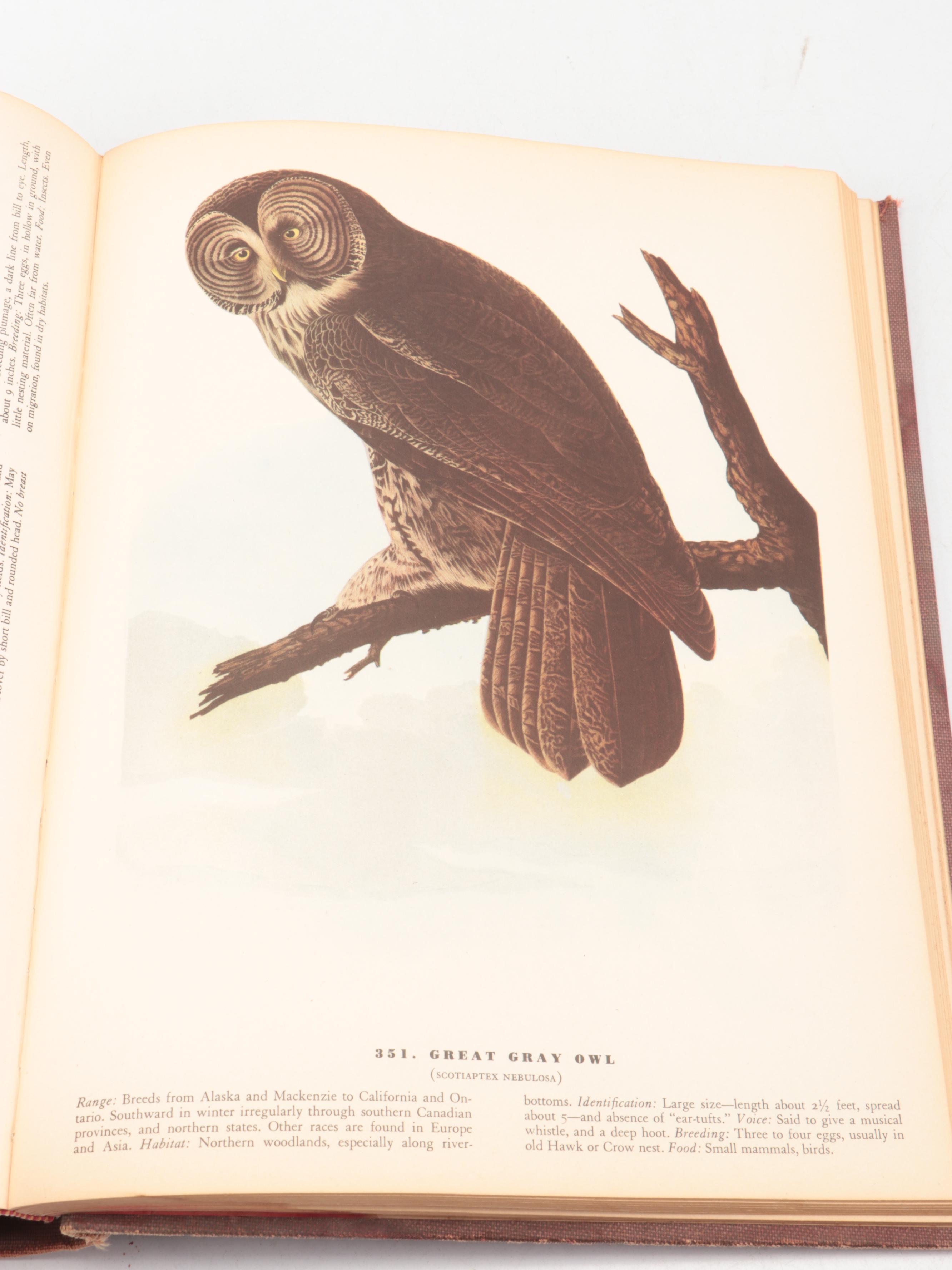 Third Printing "The Birds of America" by John James Audubon, 1942