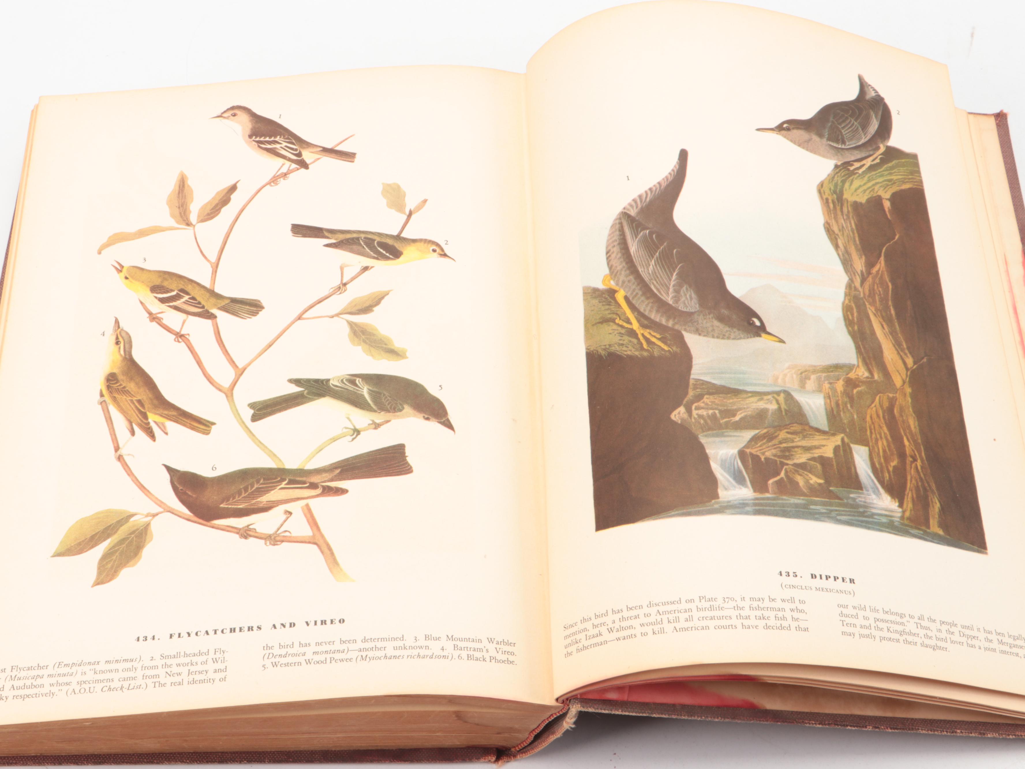 Third Printing "The Birds of America" by John James Audubon, 1942