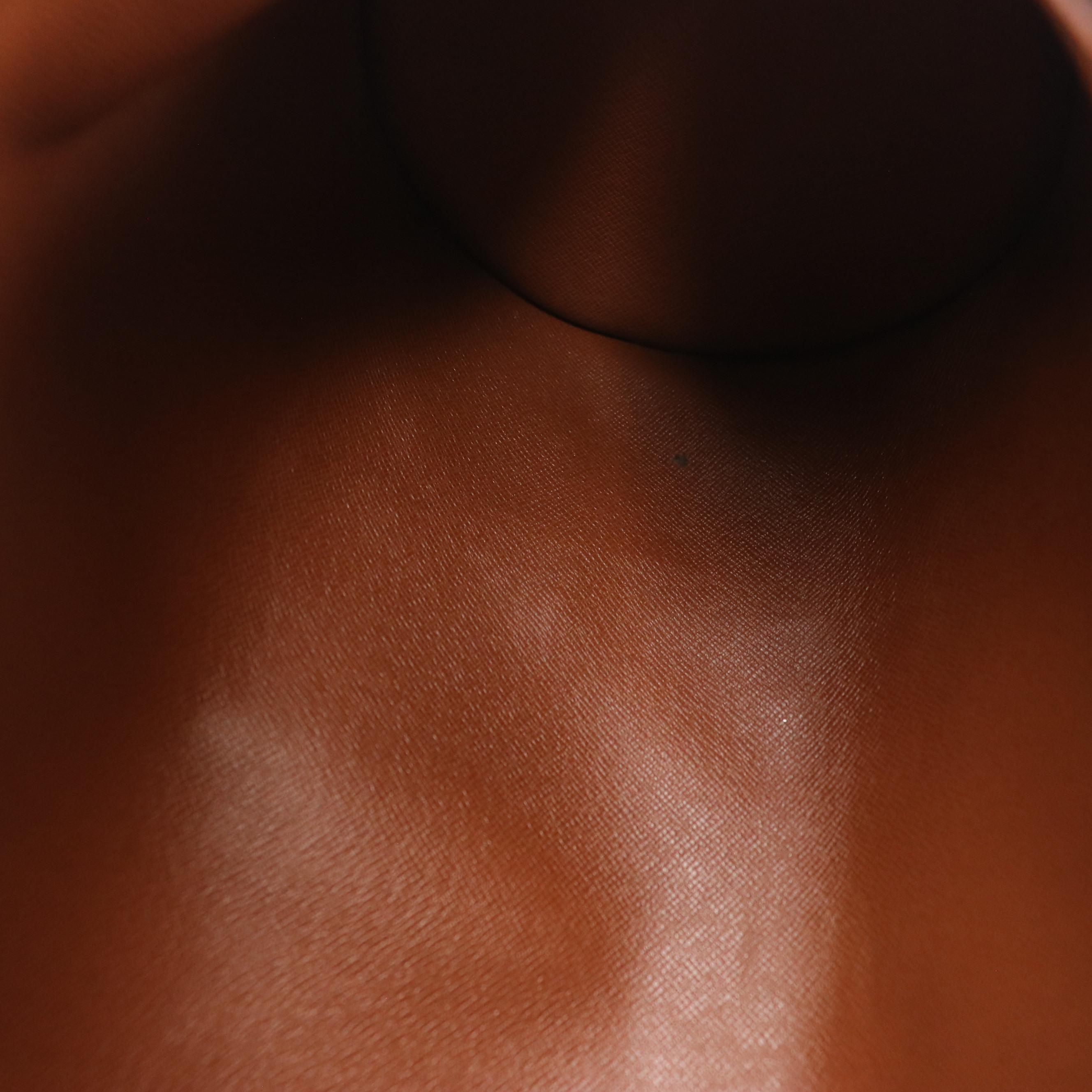 Louis Vuitton Papillon Shoulder Bag in Monogram Canvas and Leather