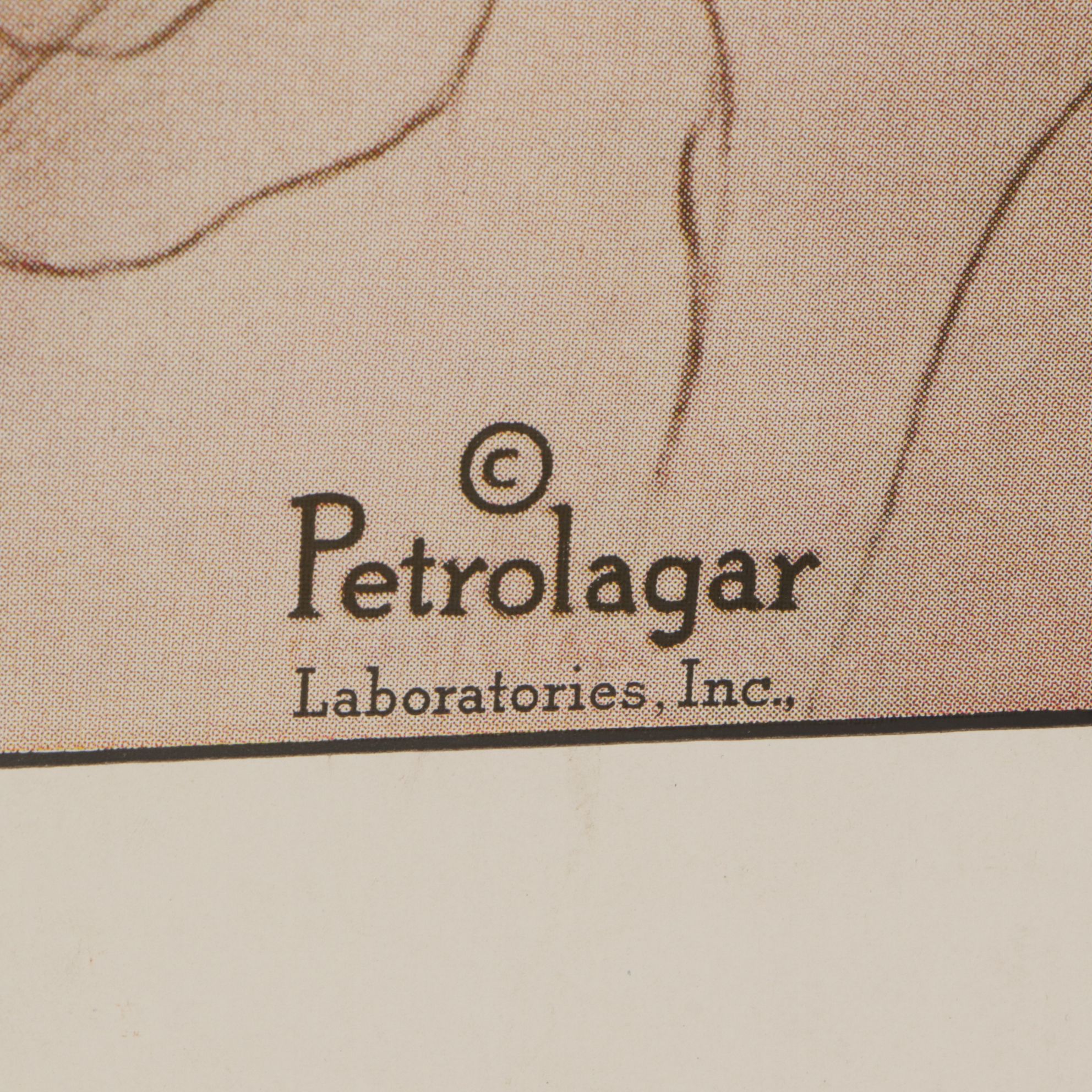 Petrolagar Laboratories Illustrated Medical Posters