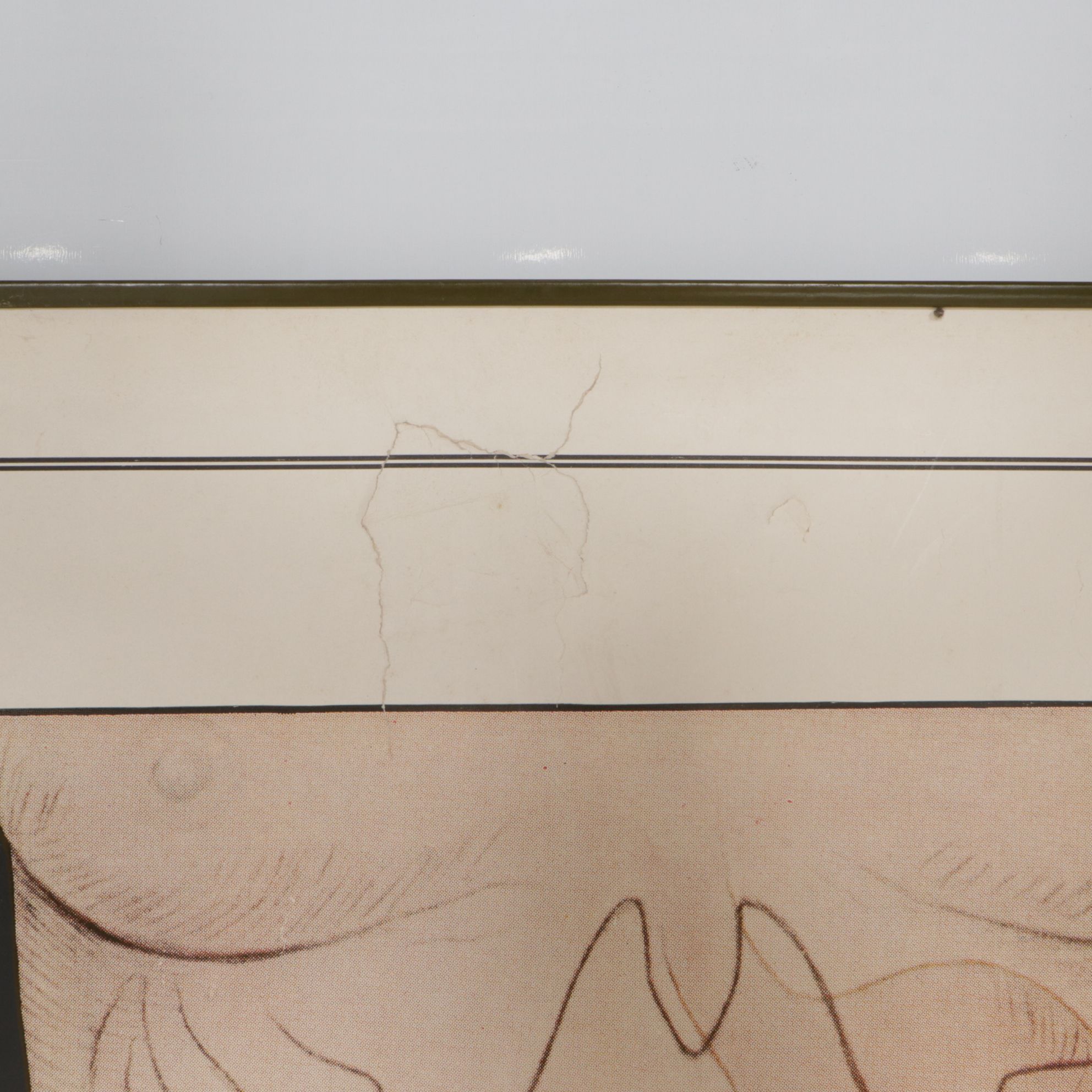 Petrolagar Laboratories Illustrated Medical Posters