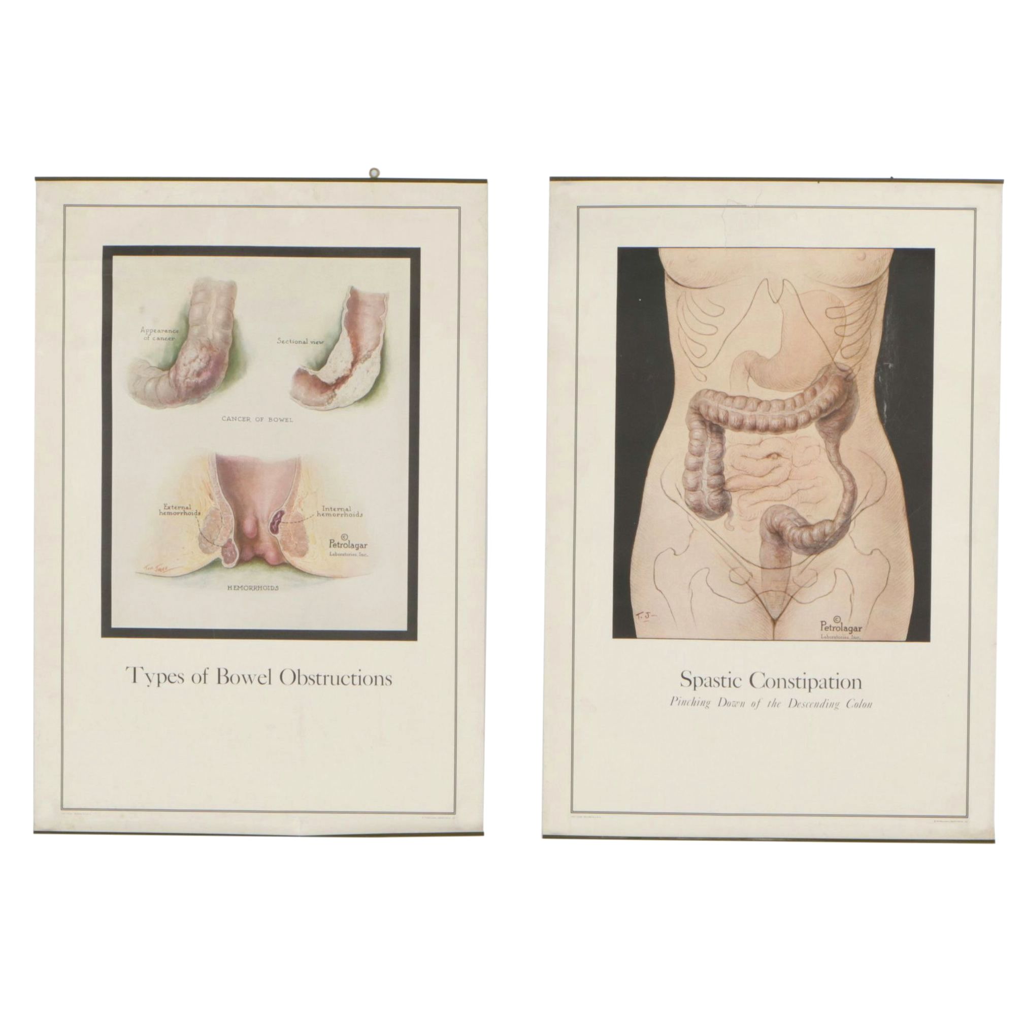 Petrolagar Laboratories Illustrated Medical Posters