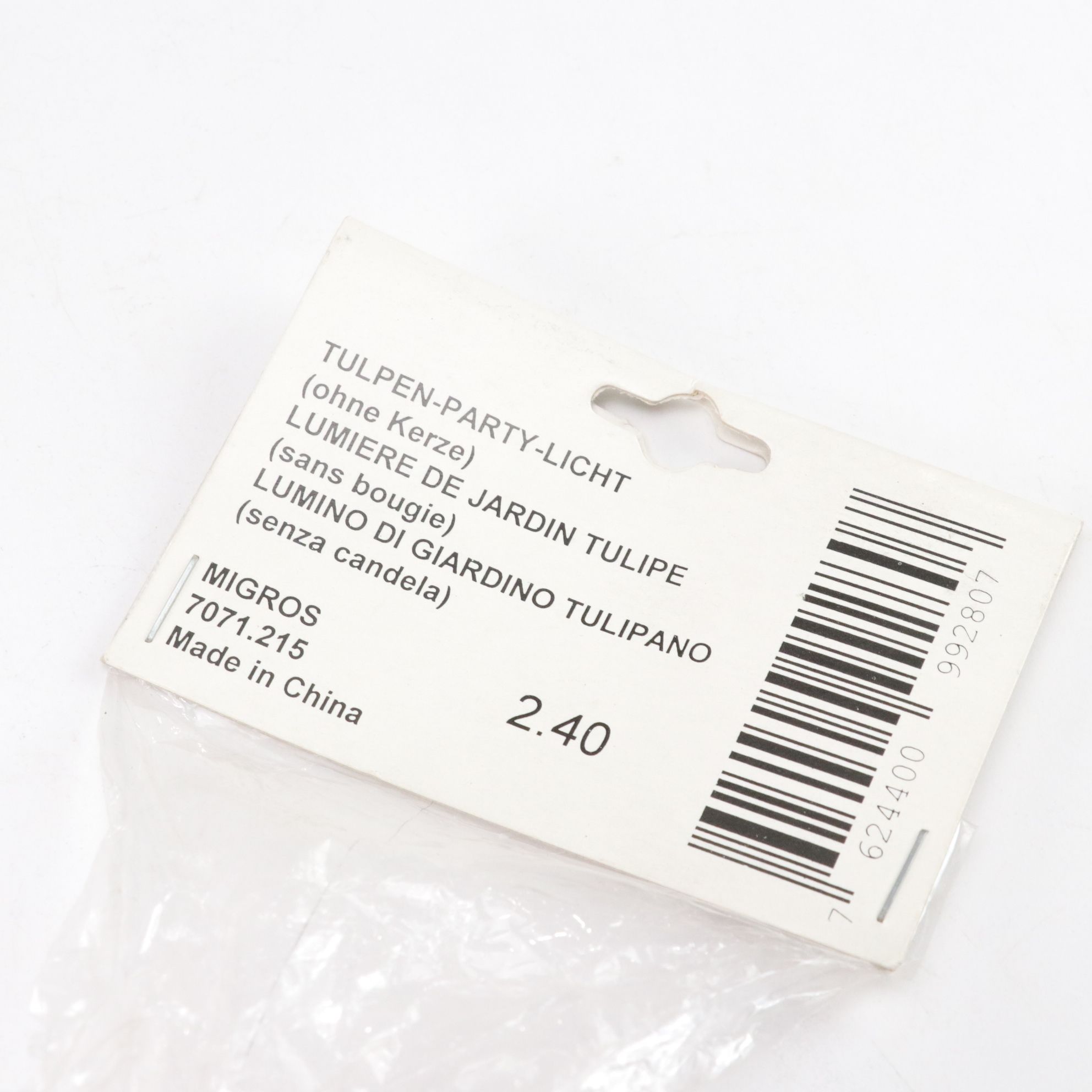 Painted Metal Long Stem Tulip