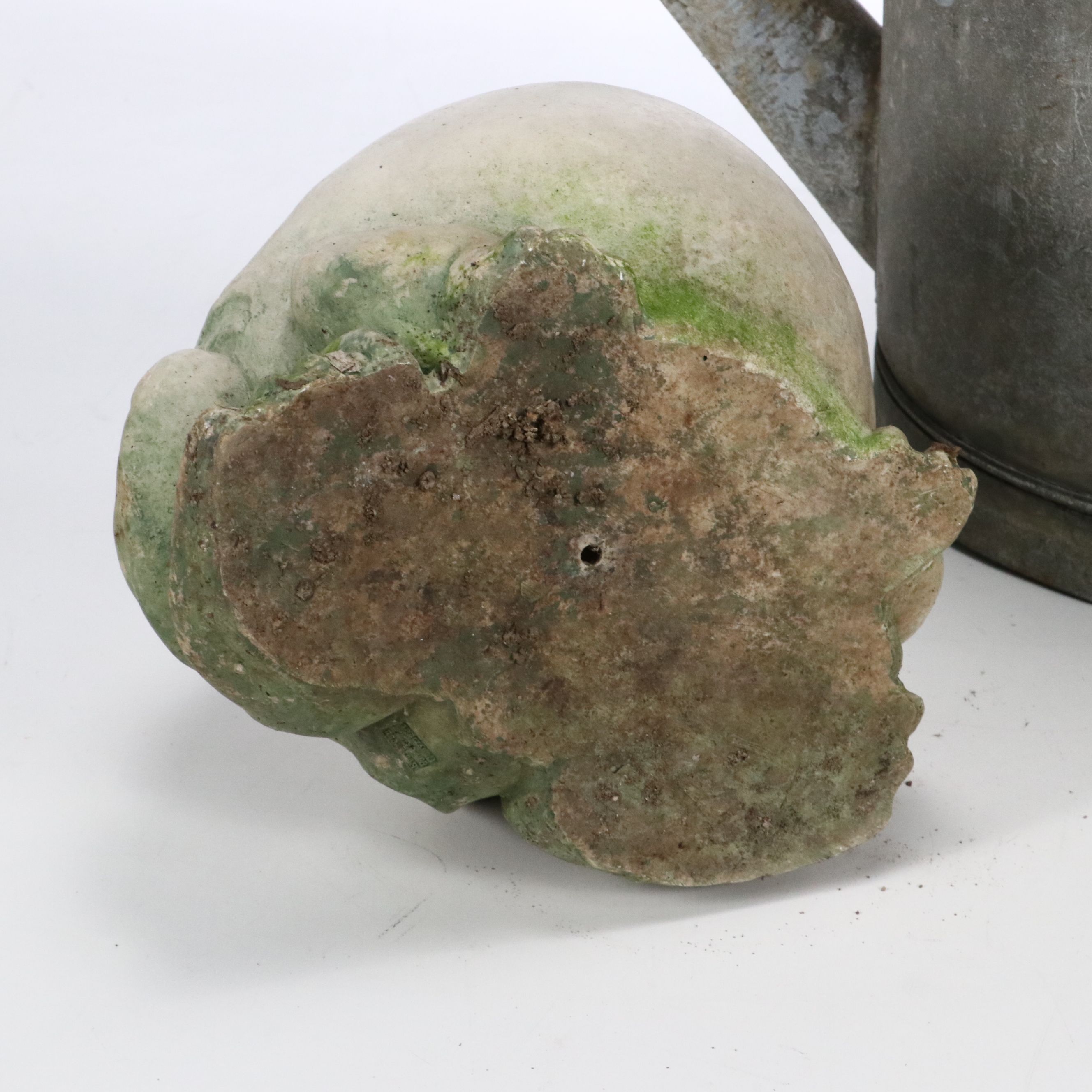 Frog Garden Statue with Vintage Galvanized Metal Watering Can