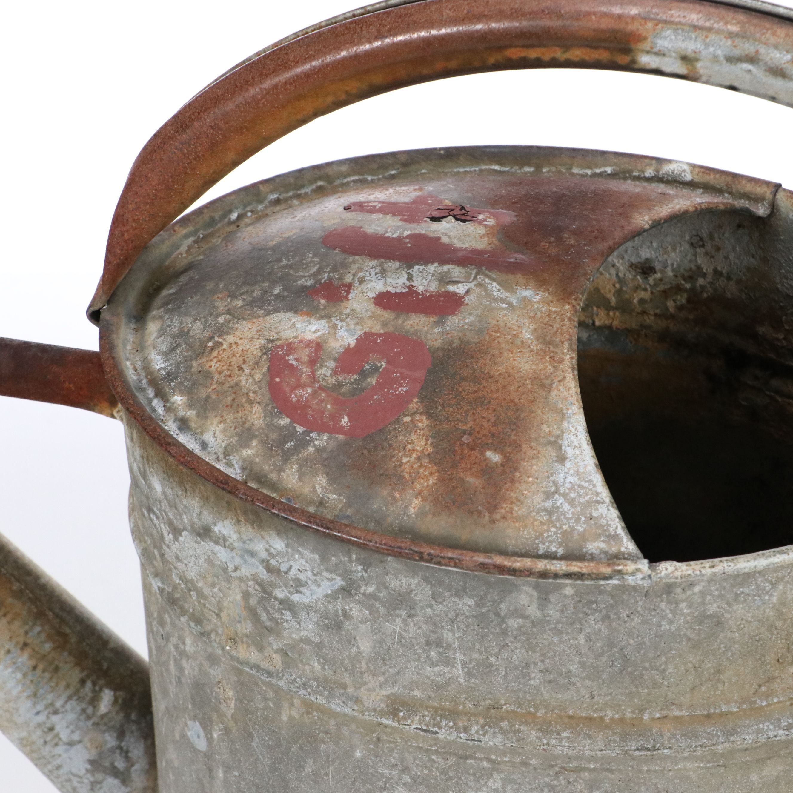 Frog Garden Statue with Vintage Galvanized Metal Watering Can