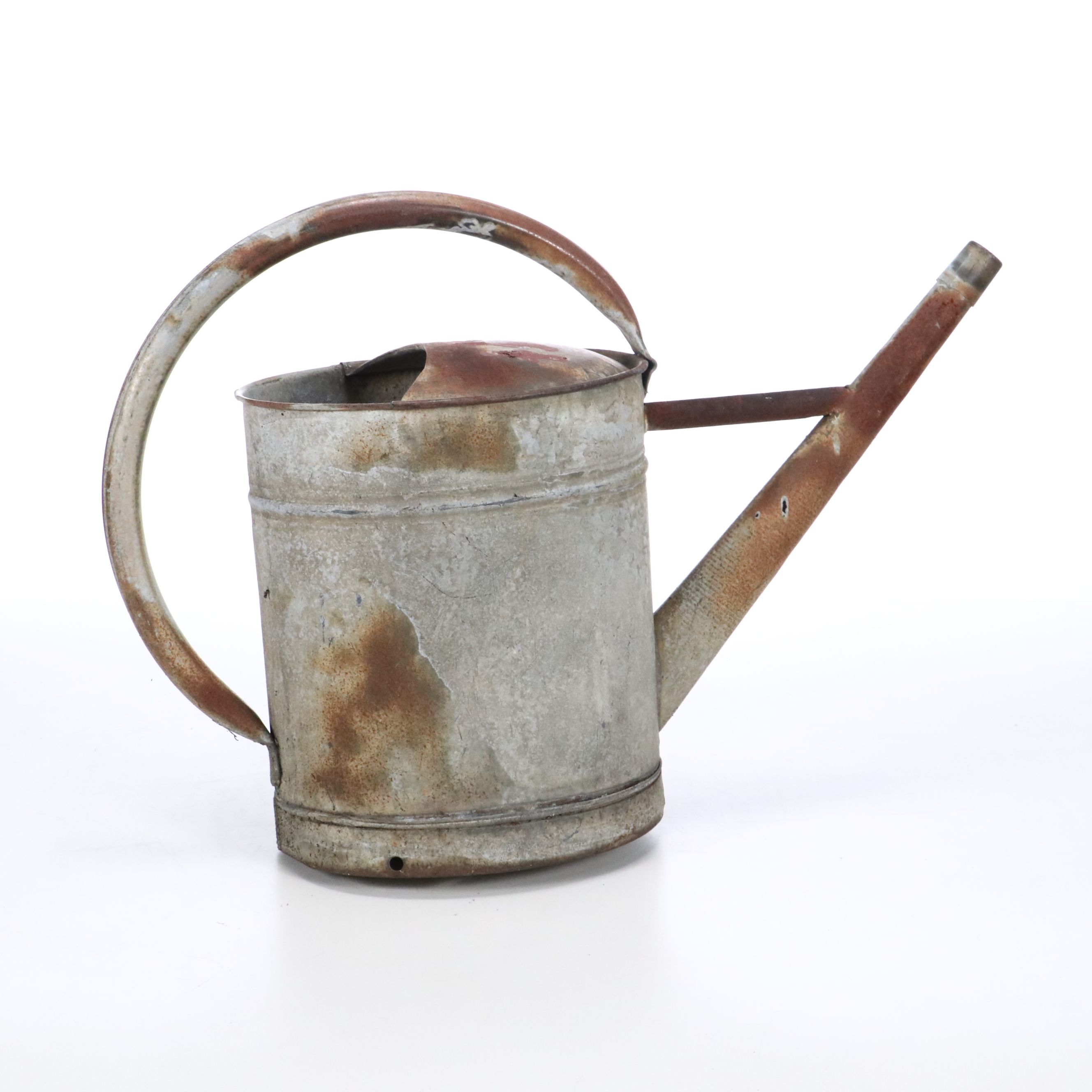 Frog Garden Statue with Vintage Galvanized Metal Watering Can