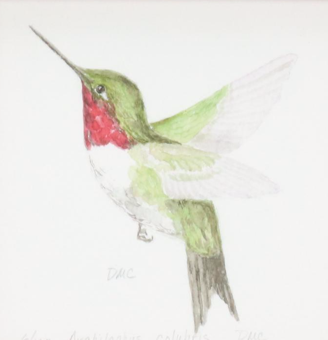 Darlene Cocke Watercolor and Giclée  "Hummingbird" and "Carolina Wren"