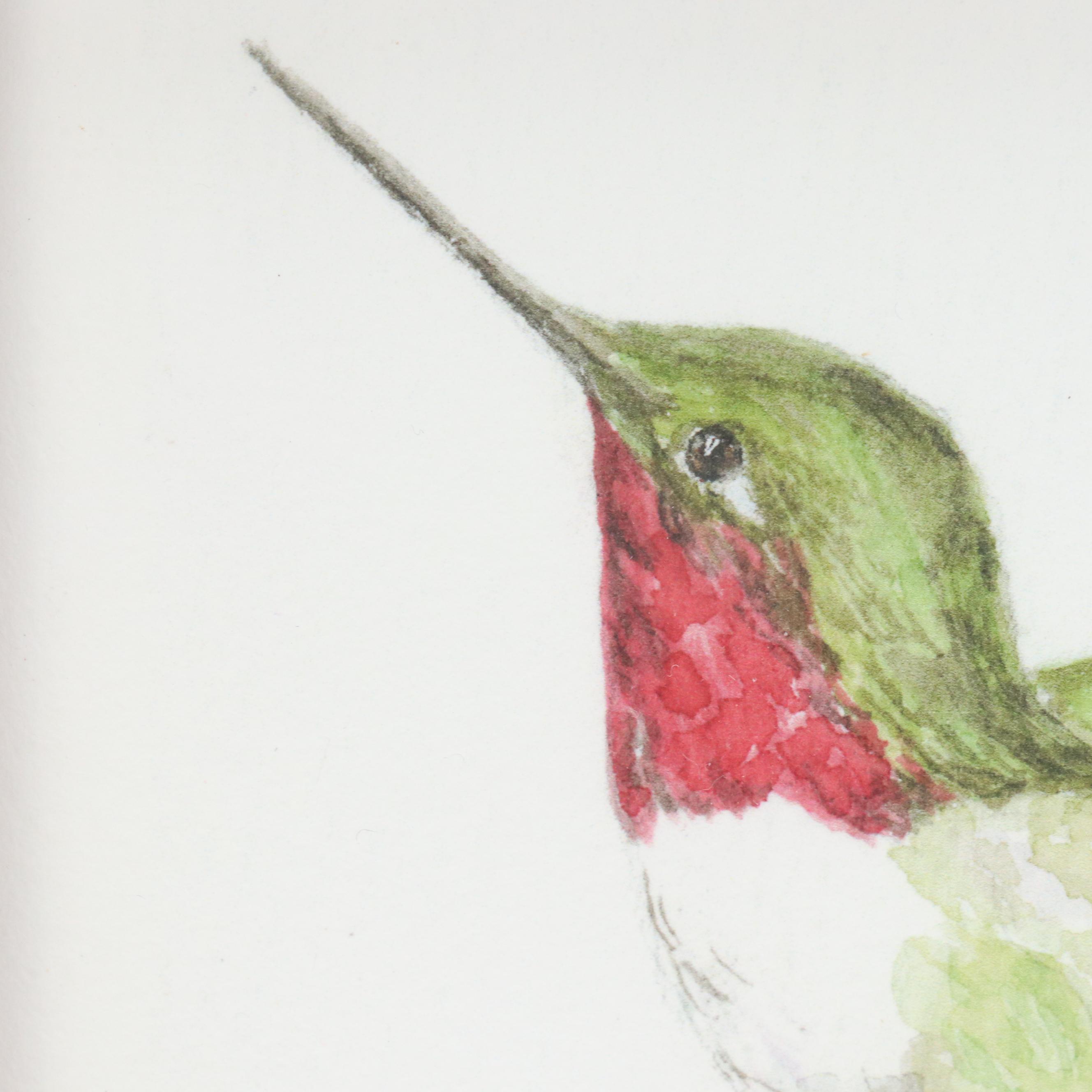 Darlene Cocke Watercolor and Giclée  "Hummingbird" and "Carolina Wren"