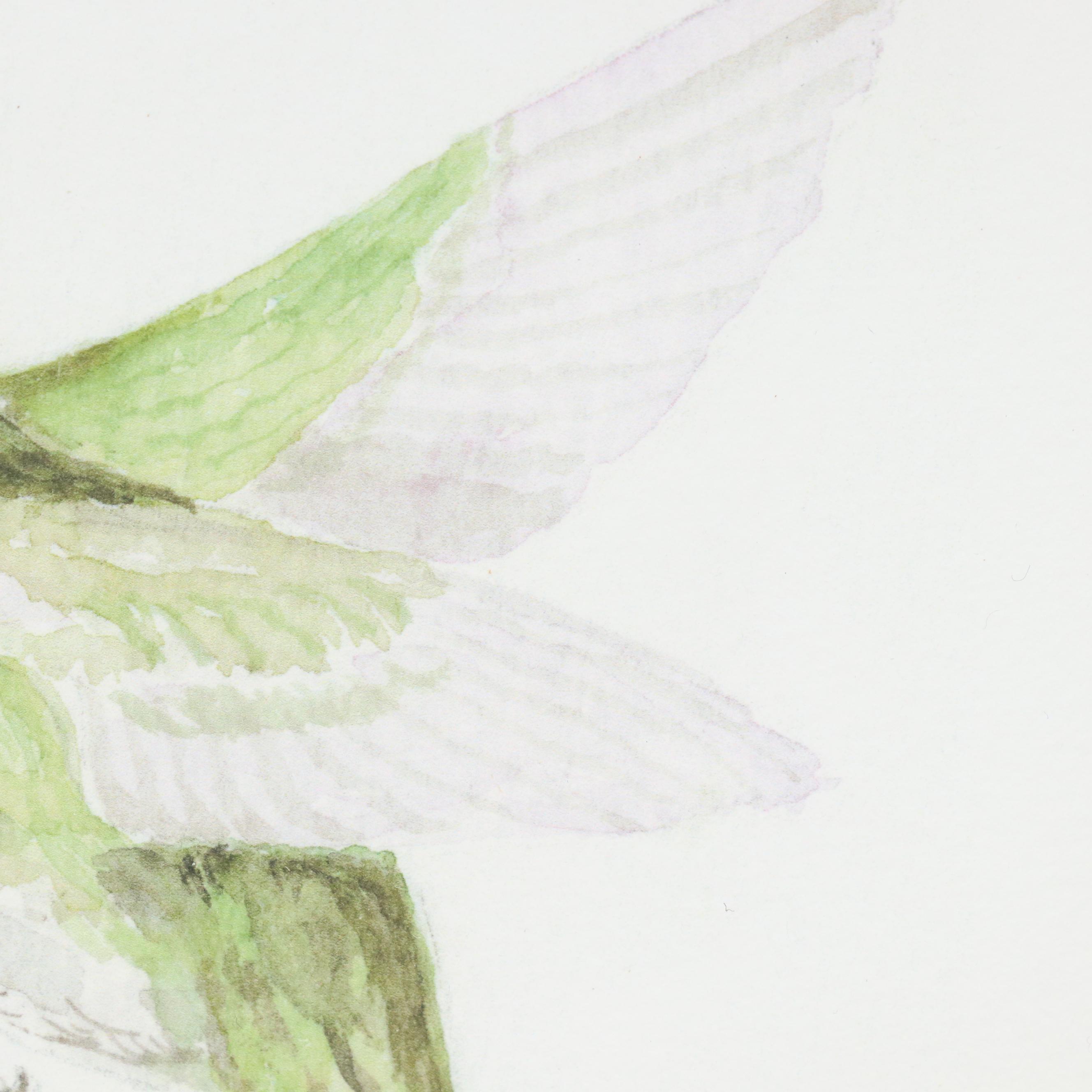 Darlene Cocke Watercolor and Giclée  "Hummingbird" and "Carolina Wren"