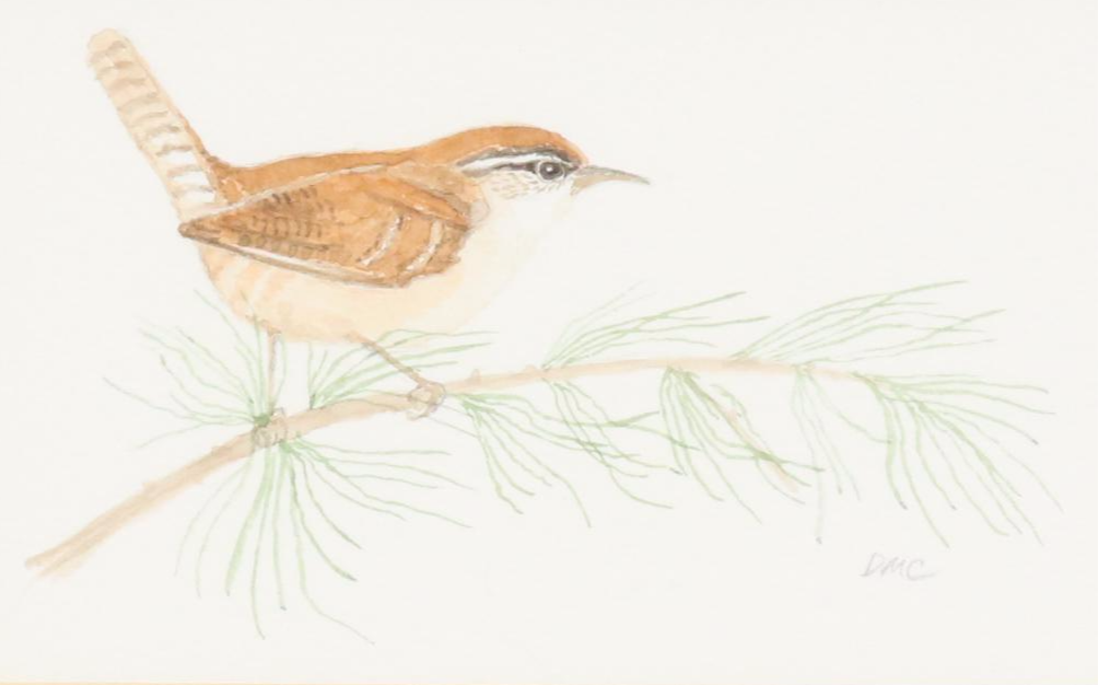 Darlene Cocke Watercolor and Giclée  "Hummingbird" and "Carolina Wren"