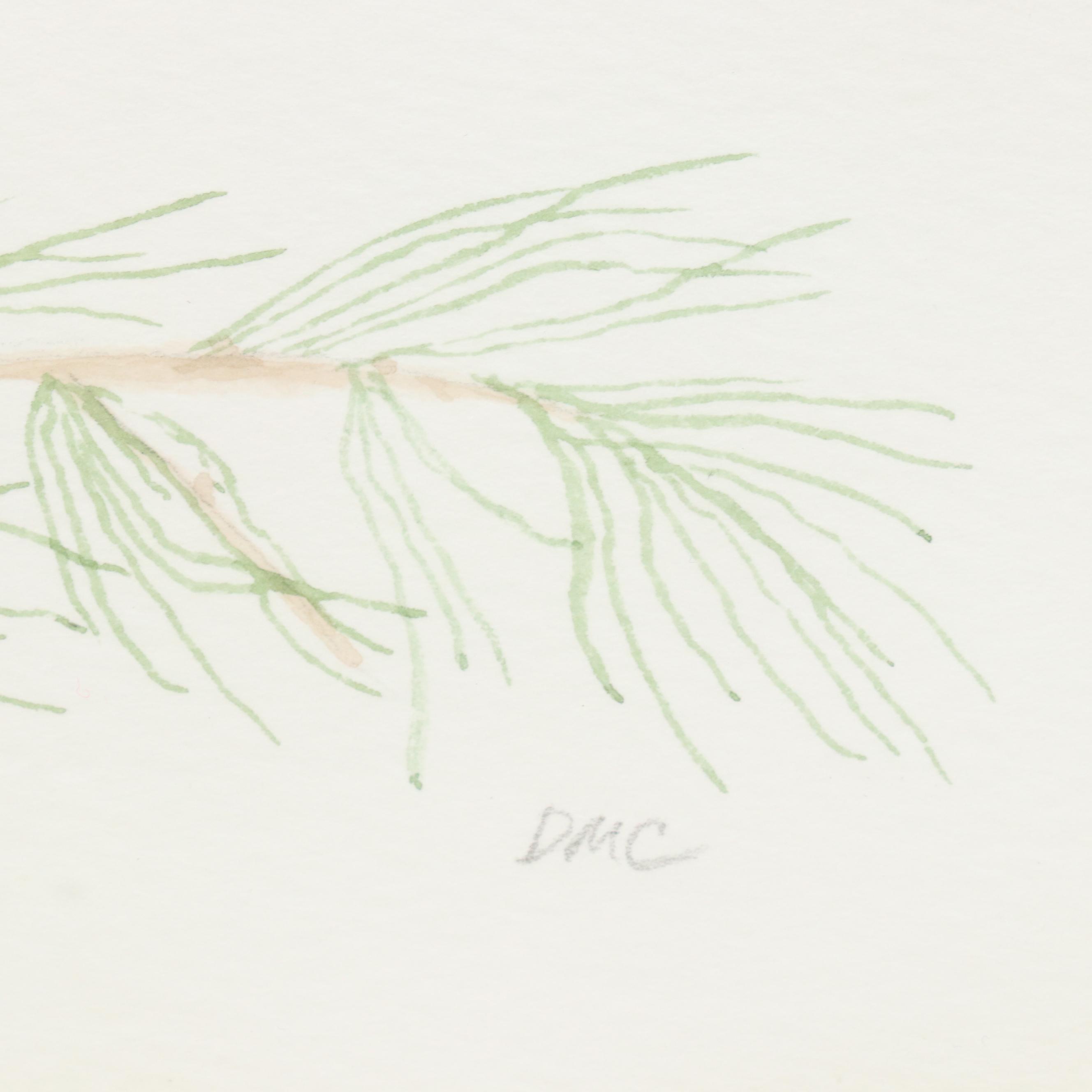 Darlene Cocke Watercolor and Giclée  "Hummingbird" and "Carolina Wren"