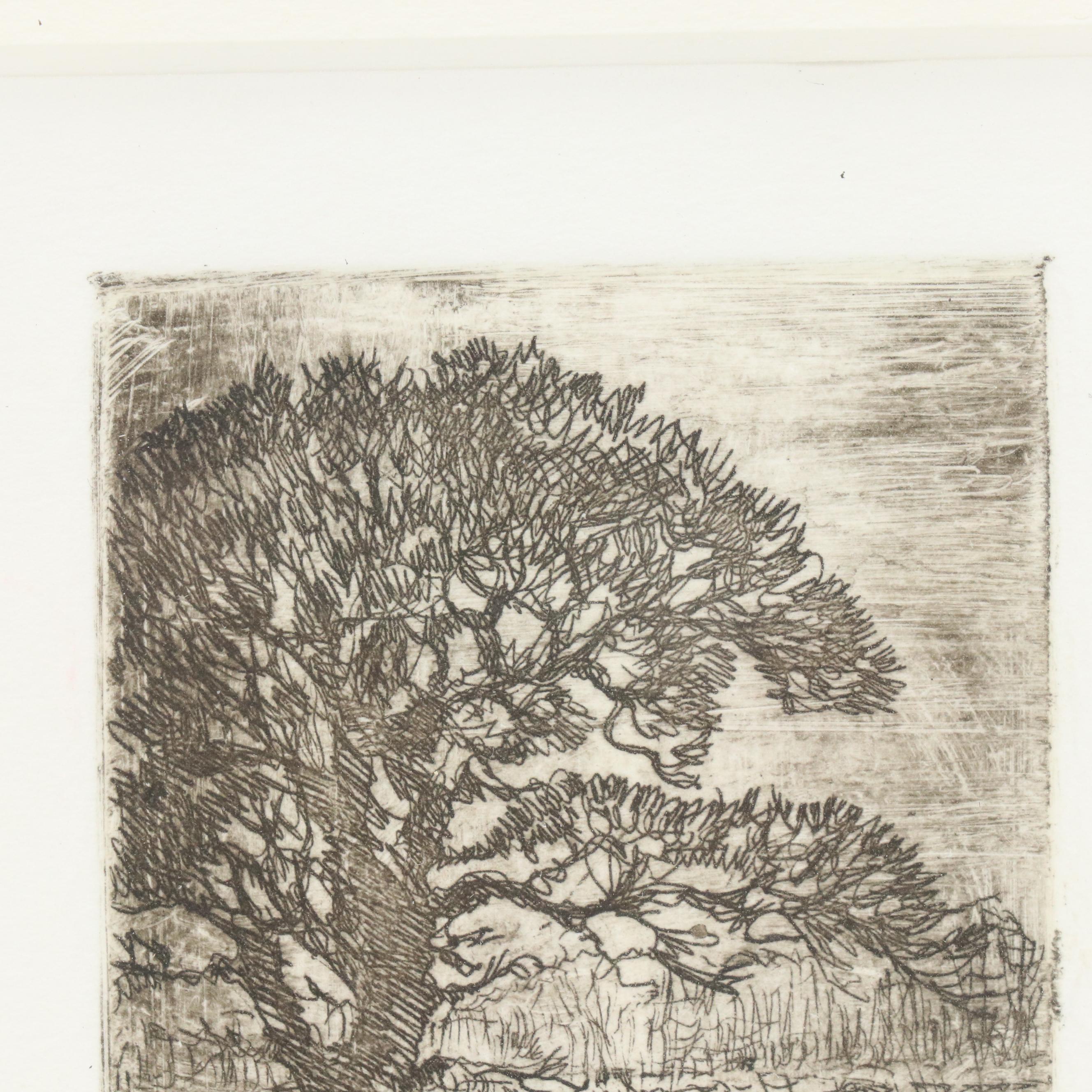 Landscape Etching "Oak at Sunset"