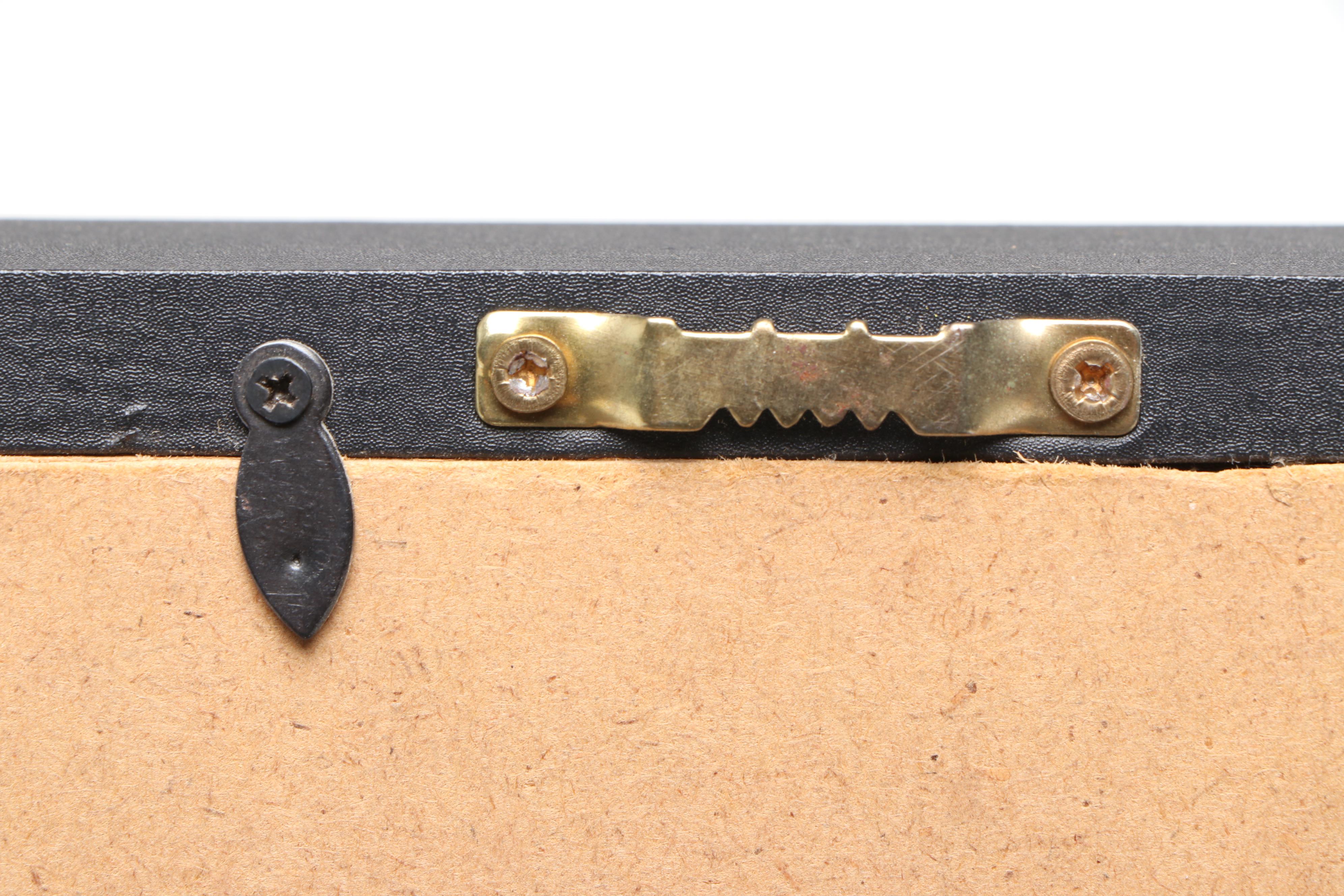 Taxidermy Stick Insect in Shadowbox by Tammy Minix for Winged Wonders