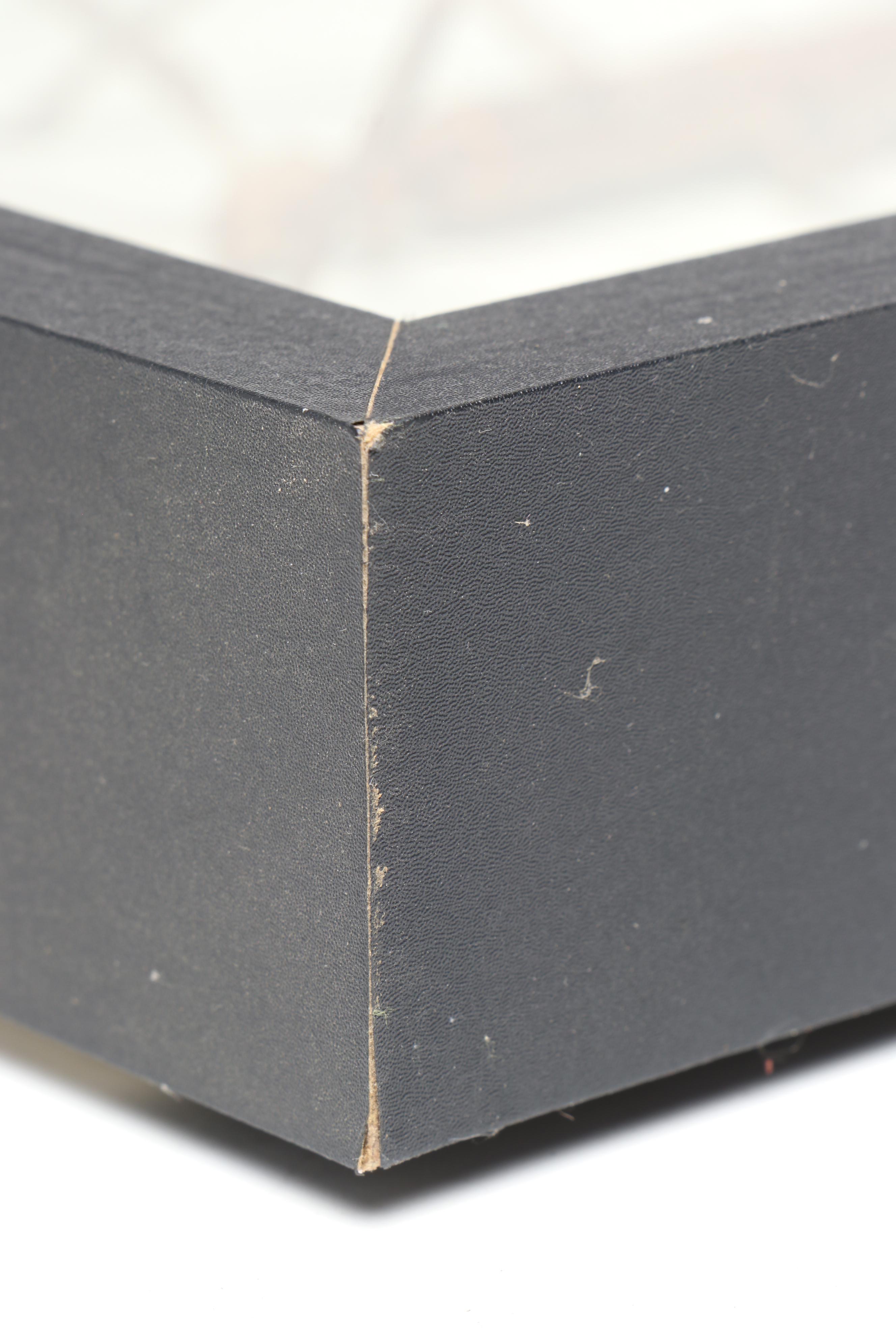 Taxidermy Stick Insect in Shadowbox by Tammy Minix for Winged Wonders