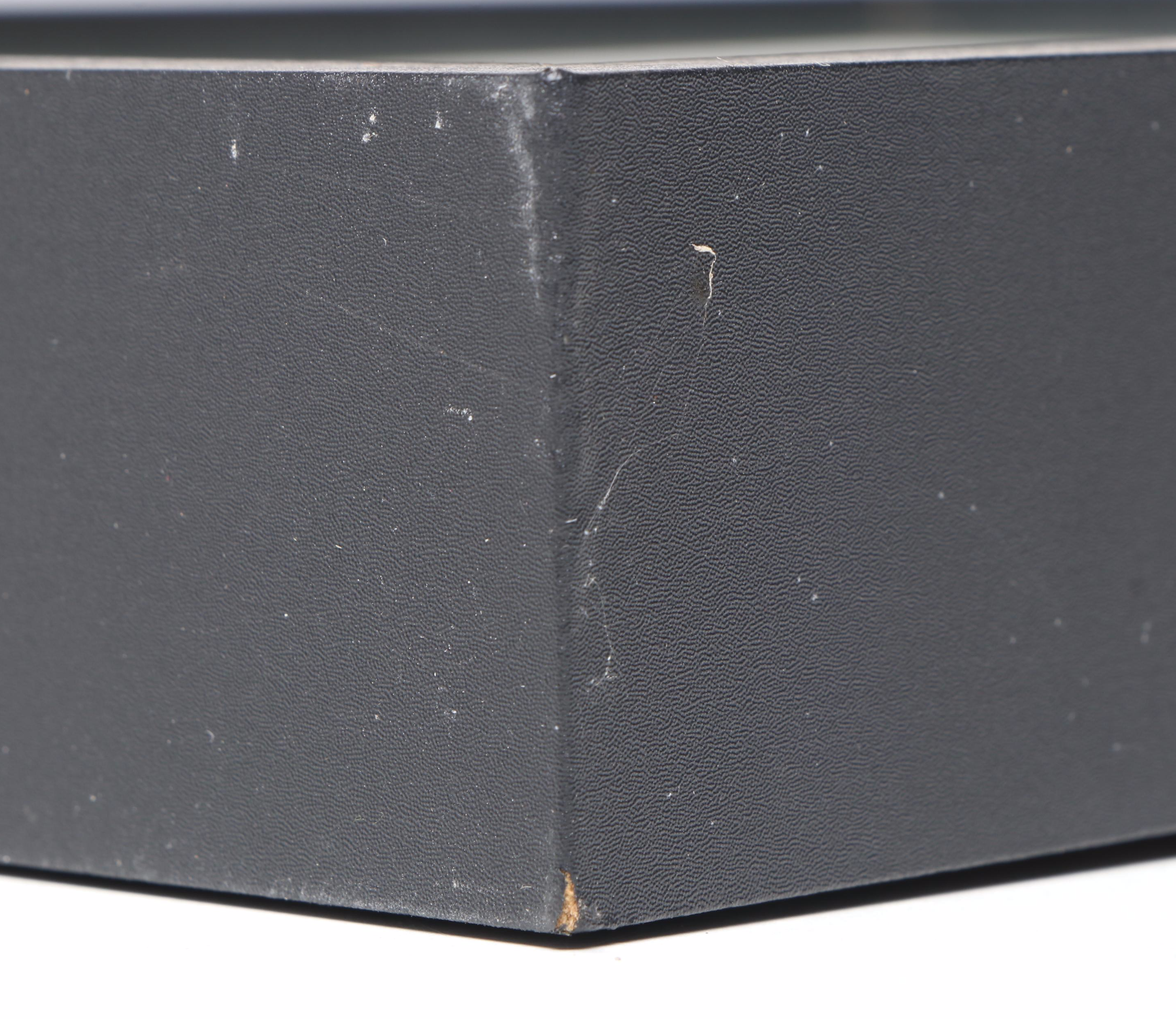 Taxidermy Stick Insect in Shadowbox by Tammy Minix for Winged Wonders