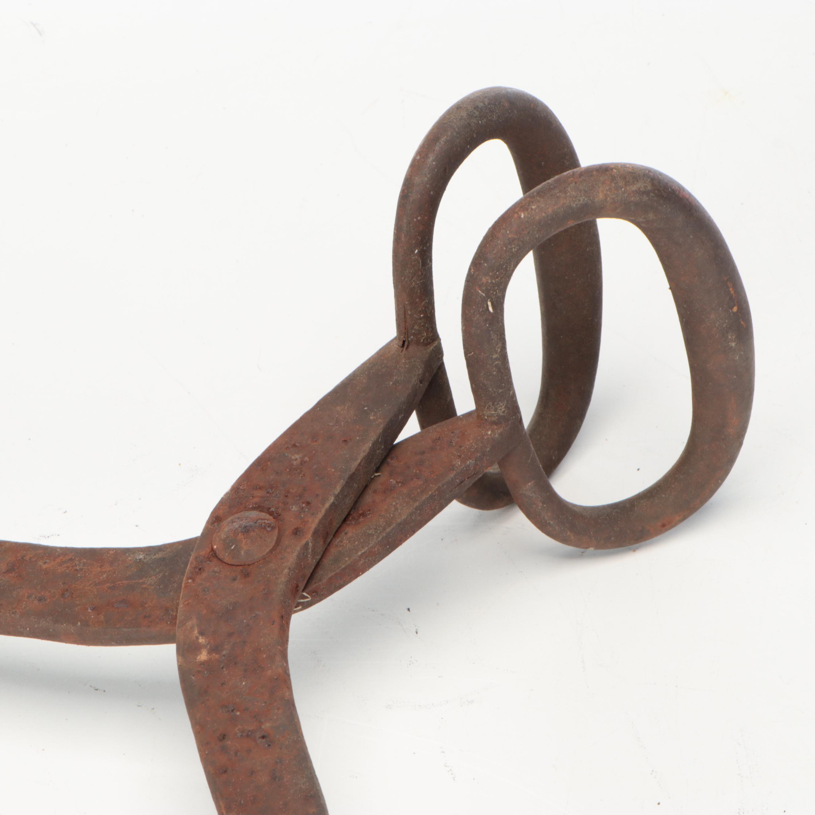 Iron Horseshoes with Branding Iron and More Tools
