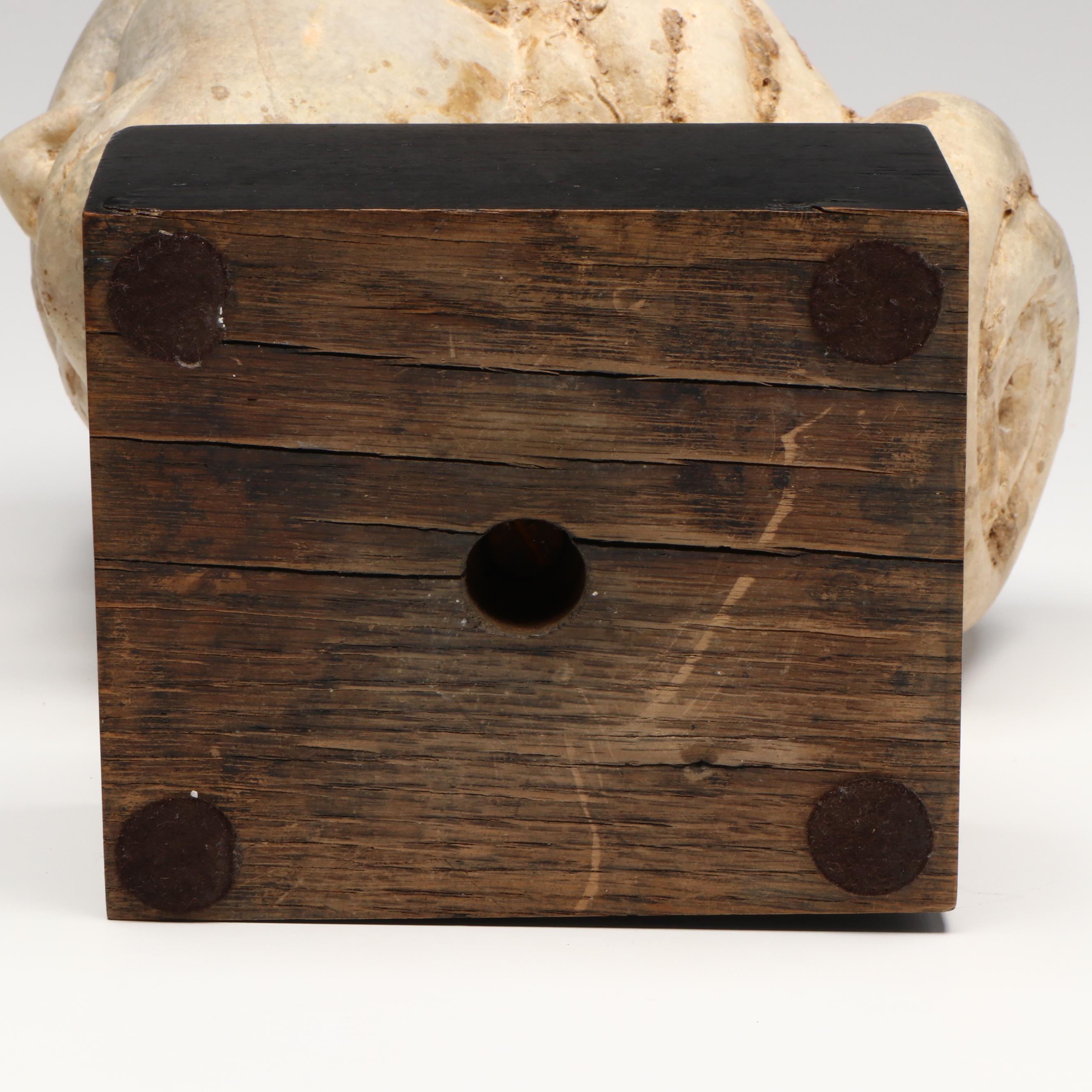 Ancient Roman Marble Female Head, Circa 14th–15th CE