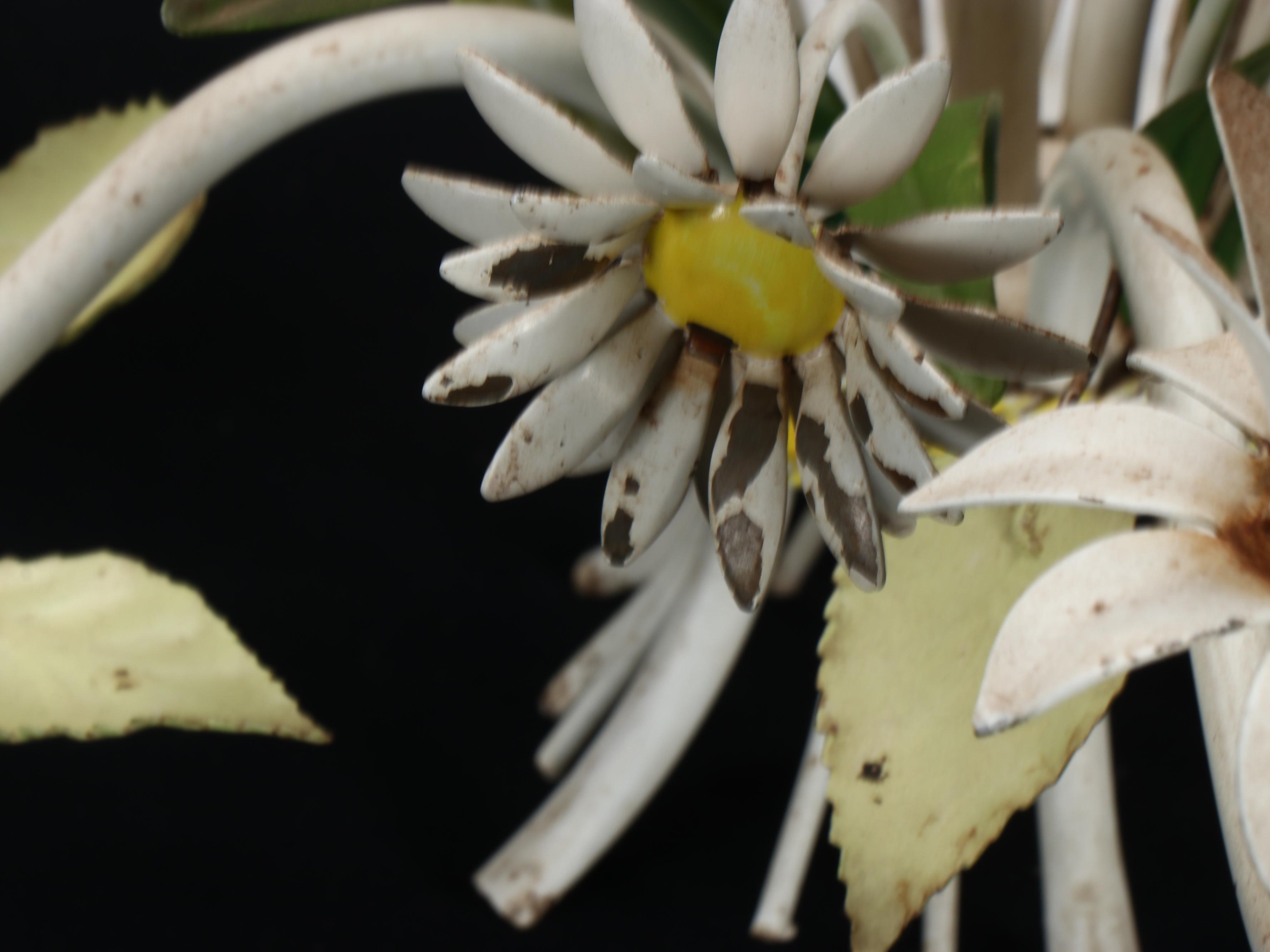 Mid-Century Italianate Enameled Metal Daisy Five-Arm Chandeliers, Pair