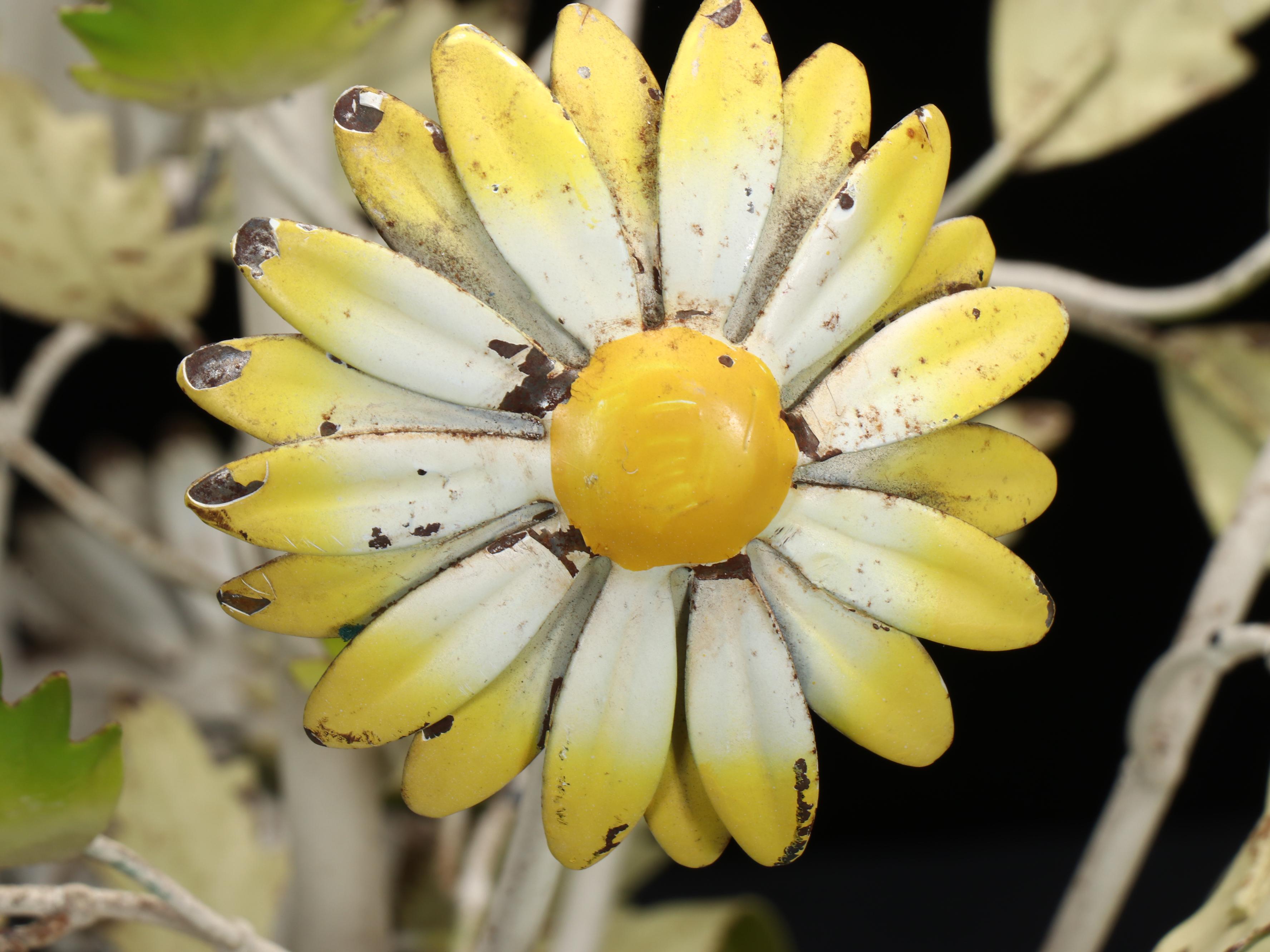 Mid-Century Italianate Enameled Metal Daisy Five-Arm Chandeliers, Pair