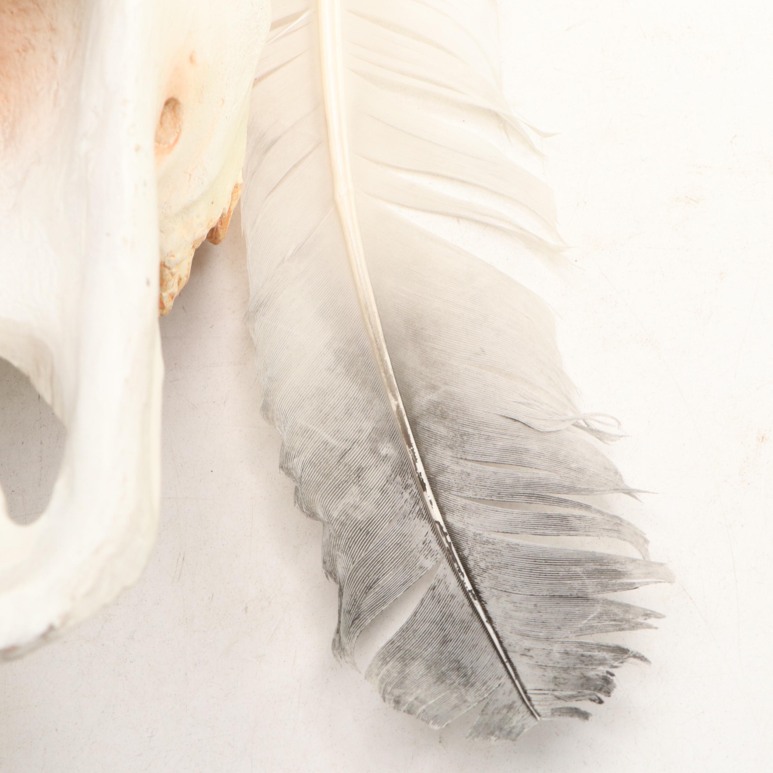 Paul R. Carrico "Sacred Spirit II" Ltd. Ed. Resin Bison Skull & Eagle Head