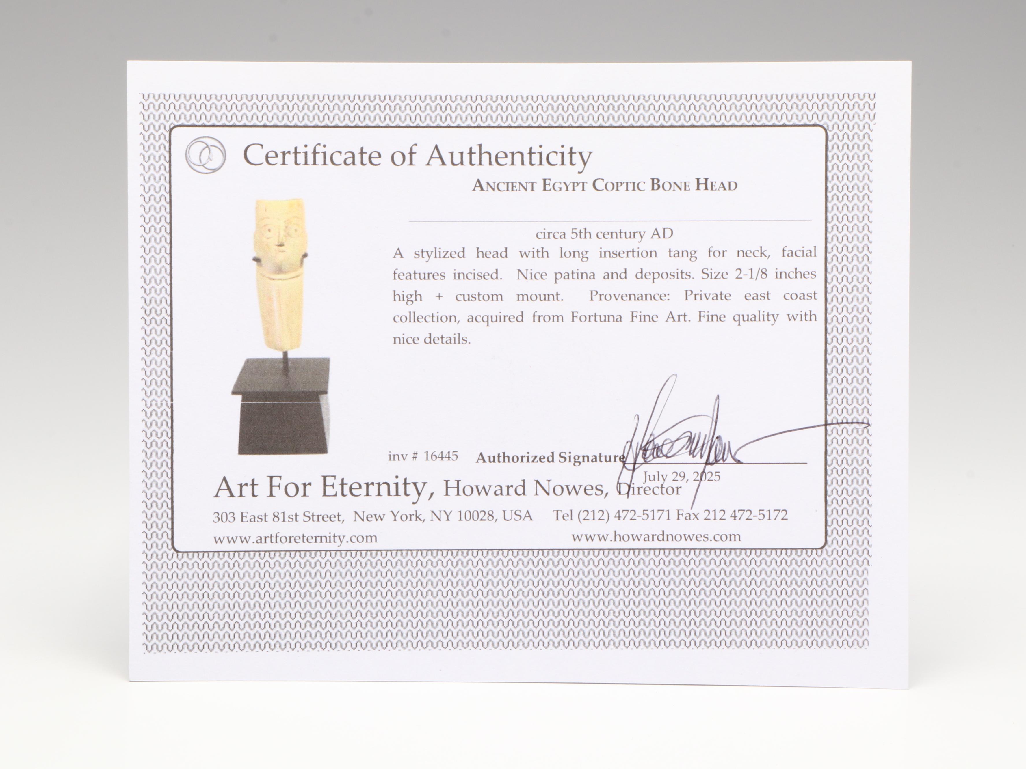 Ancient Egyptian Coptic Bone Head, Circa 5th Century