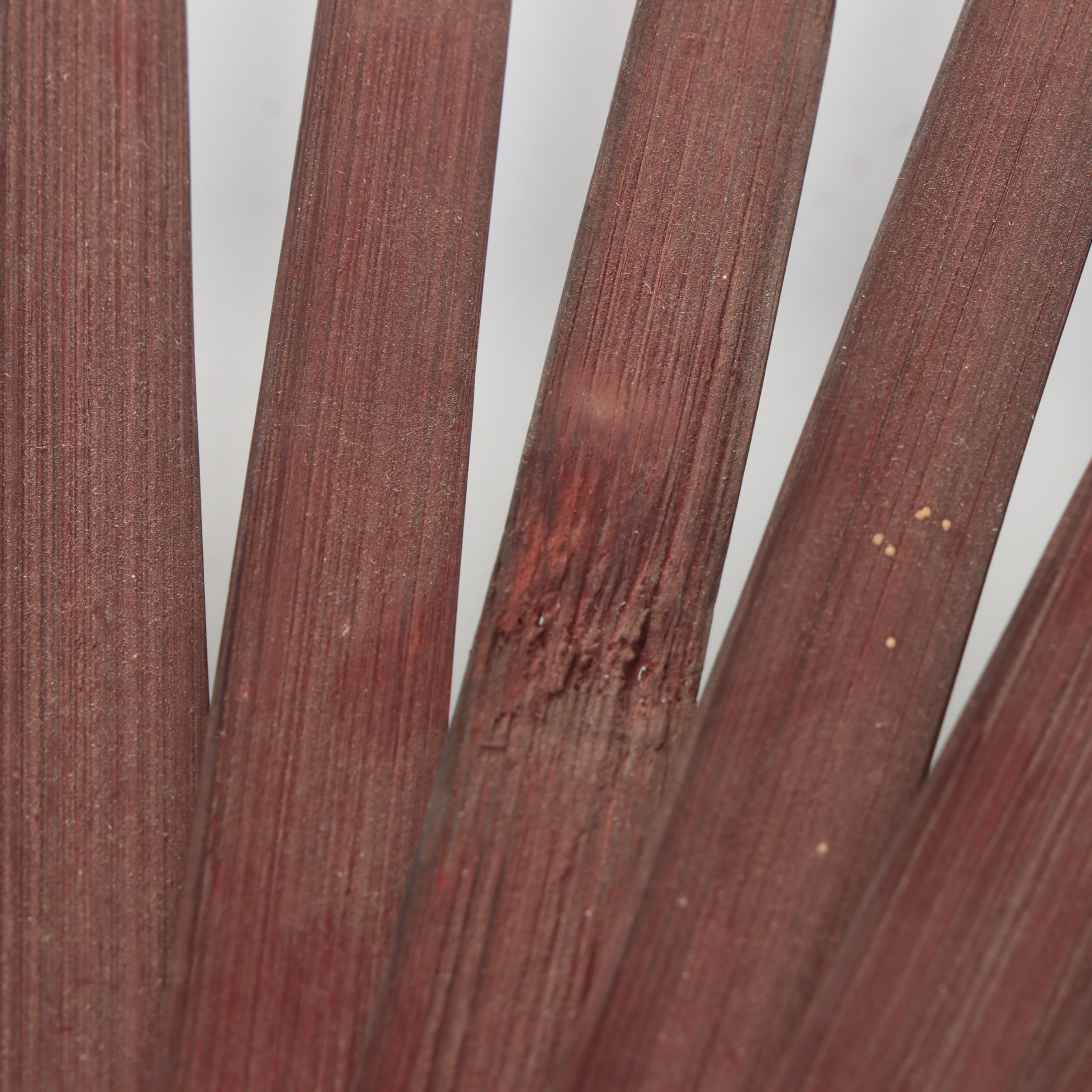 Chinese Bird and Floral Wood and Paper Folding Fan with Other Folding Fans