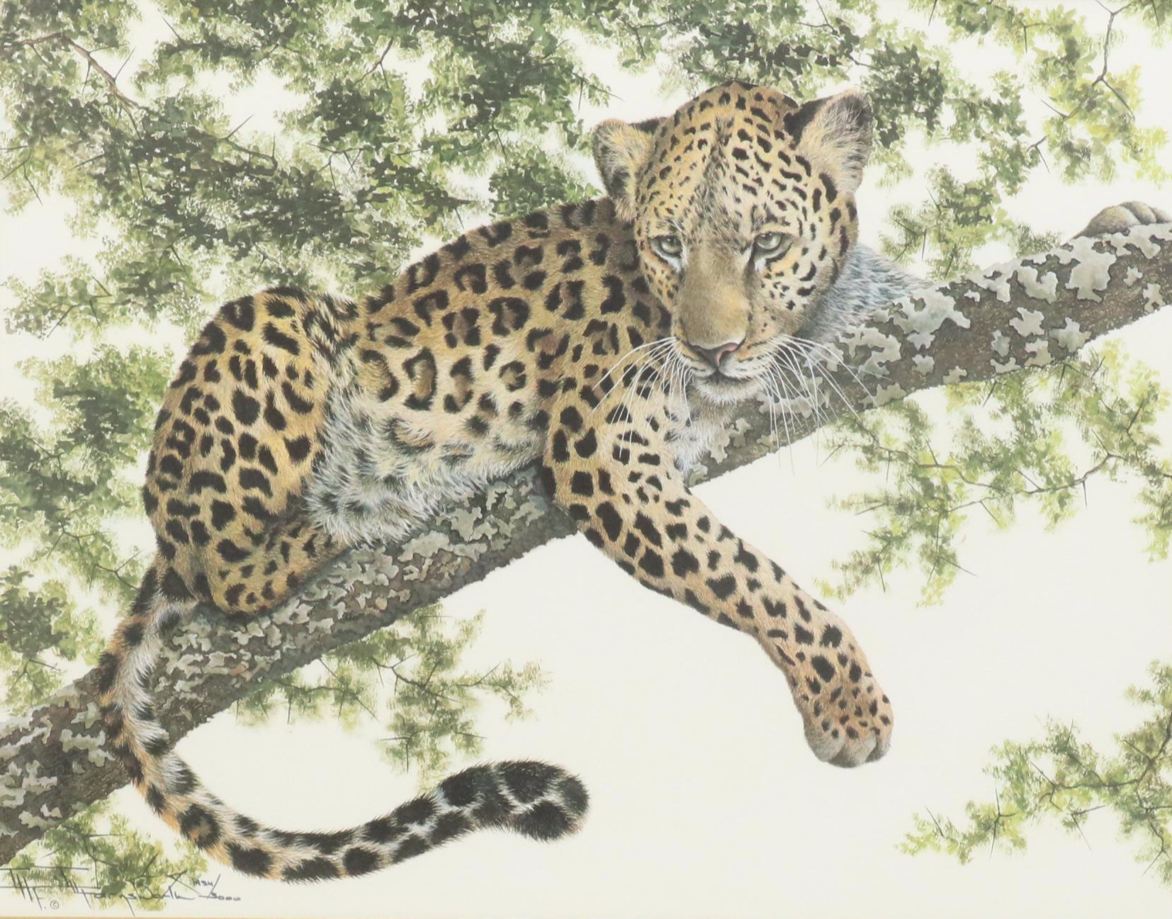 Imogene Farnsworth Offset Lithograph "African Leopard," 1976