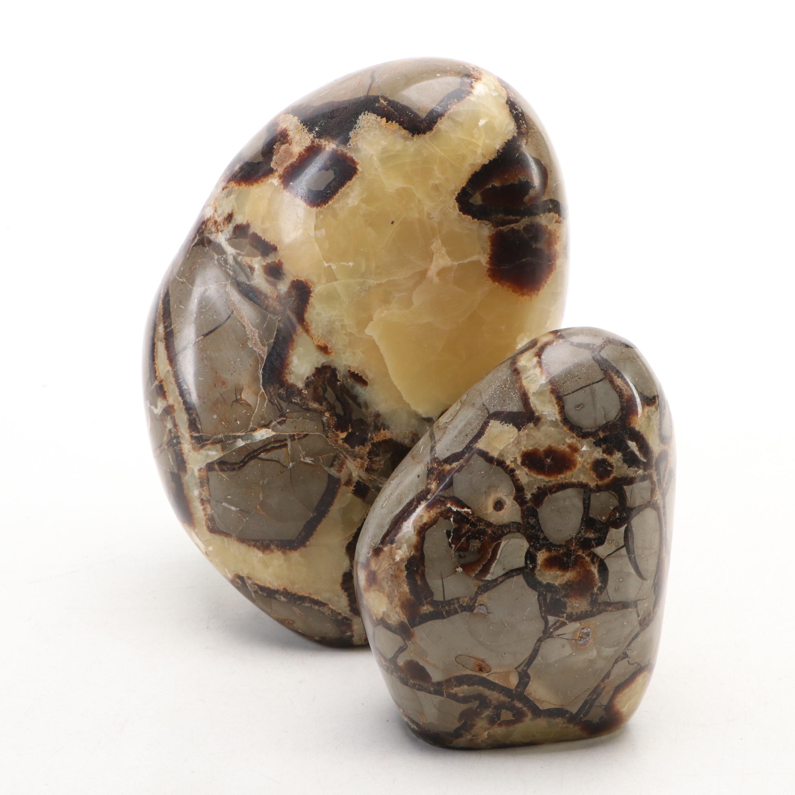 Polished Septarian Free-Form Nodules