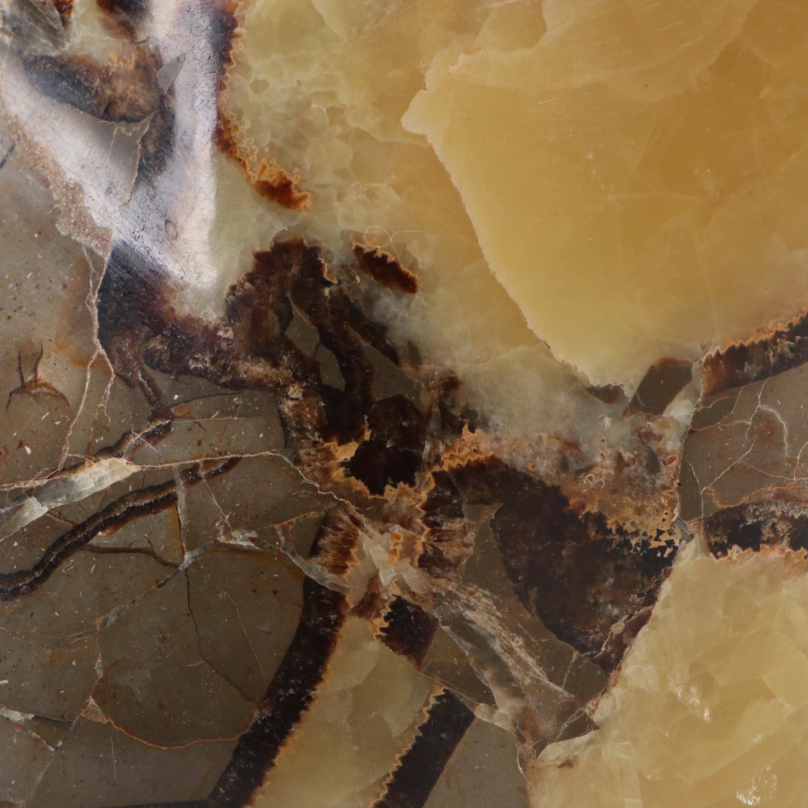 Polished Septarian Free-Form Nodules