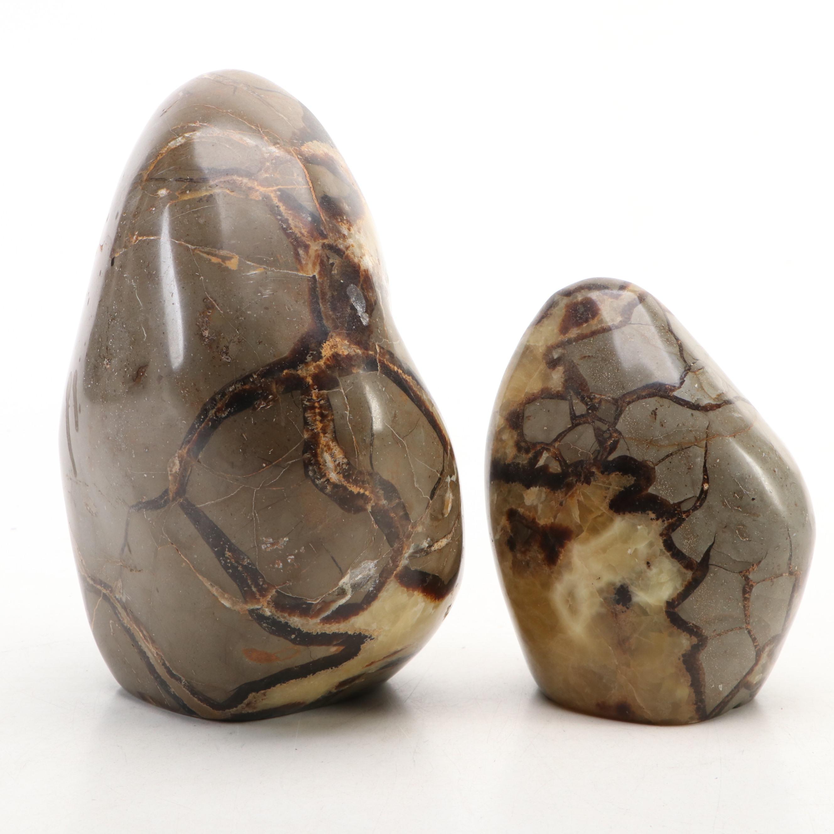 Polished Septarian Free-Form Nodules