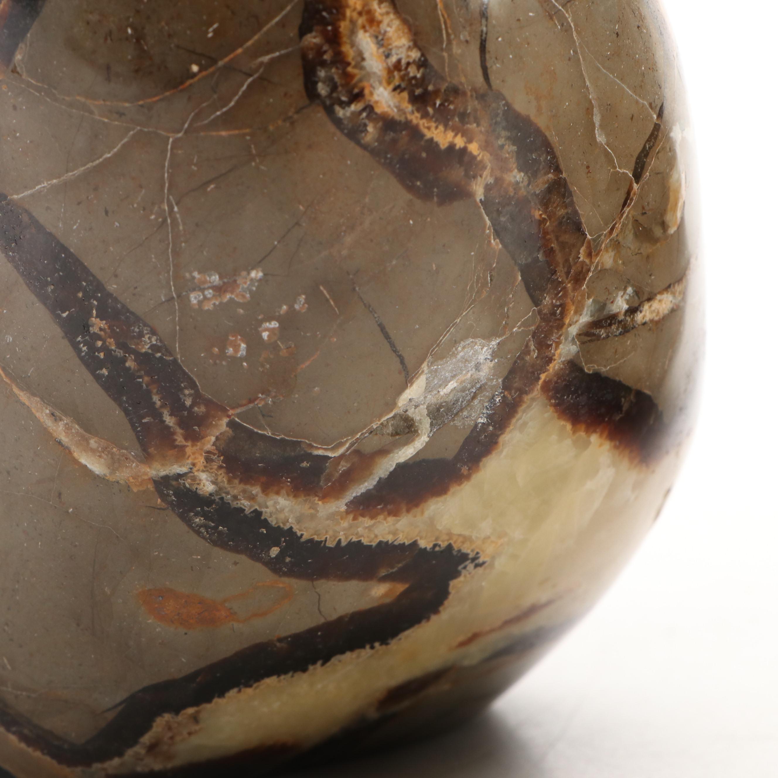 Polished Septarian Free-Form Nodules