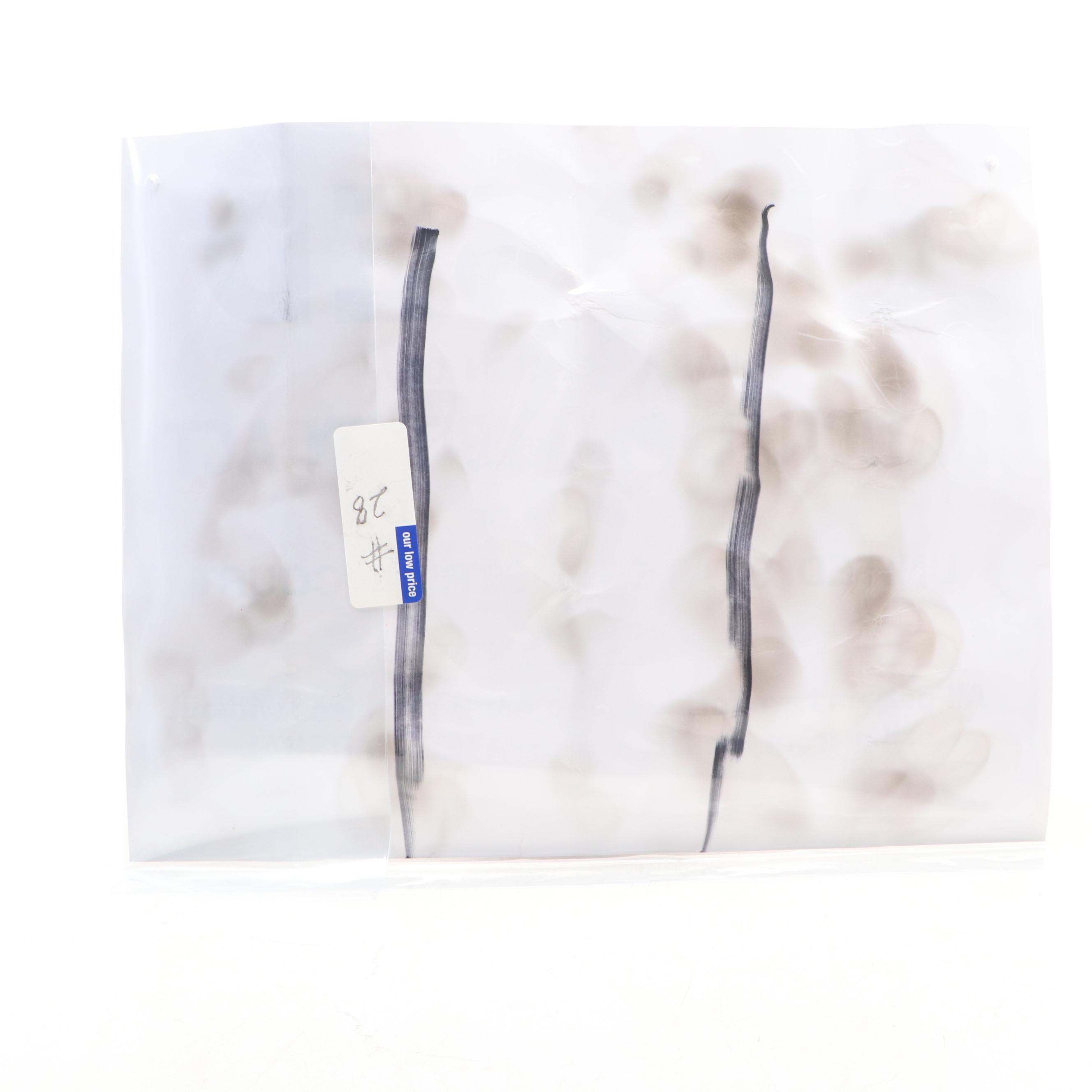 "Closed for Violation of National Prohibition Act" Paper Sign