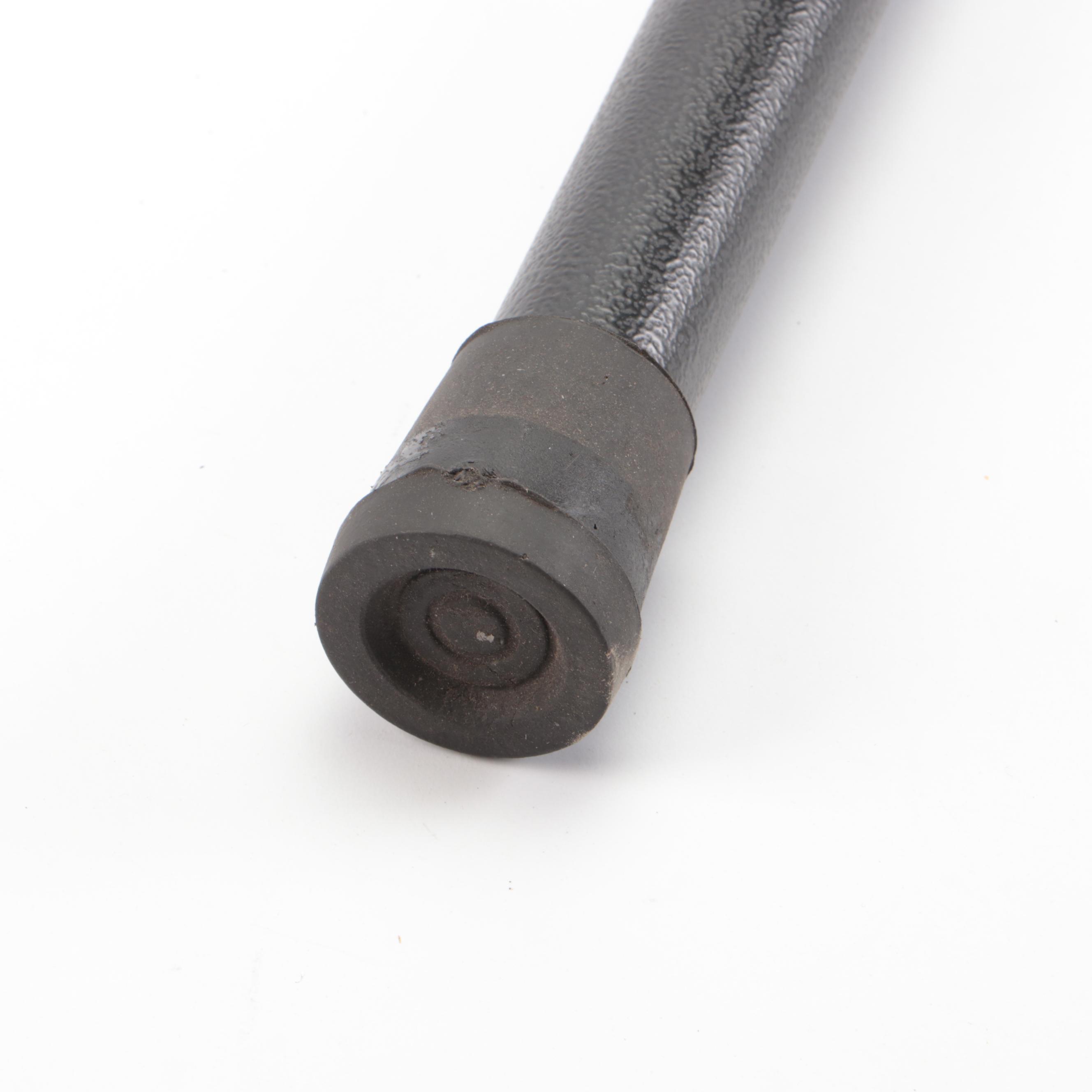 Snarling Wolf Head Handled Sword Cane