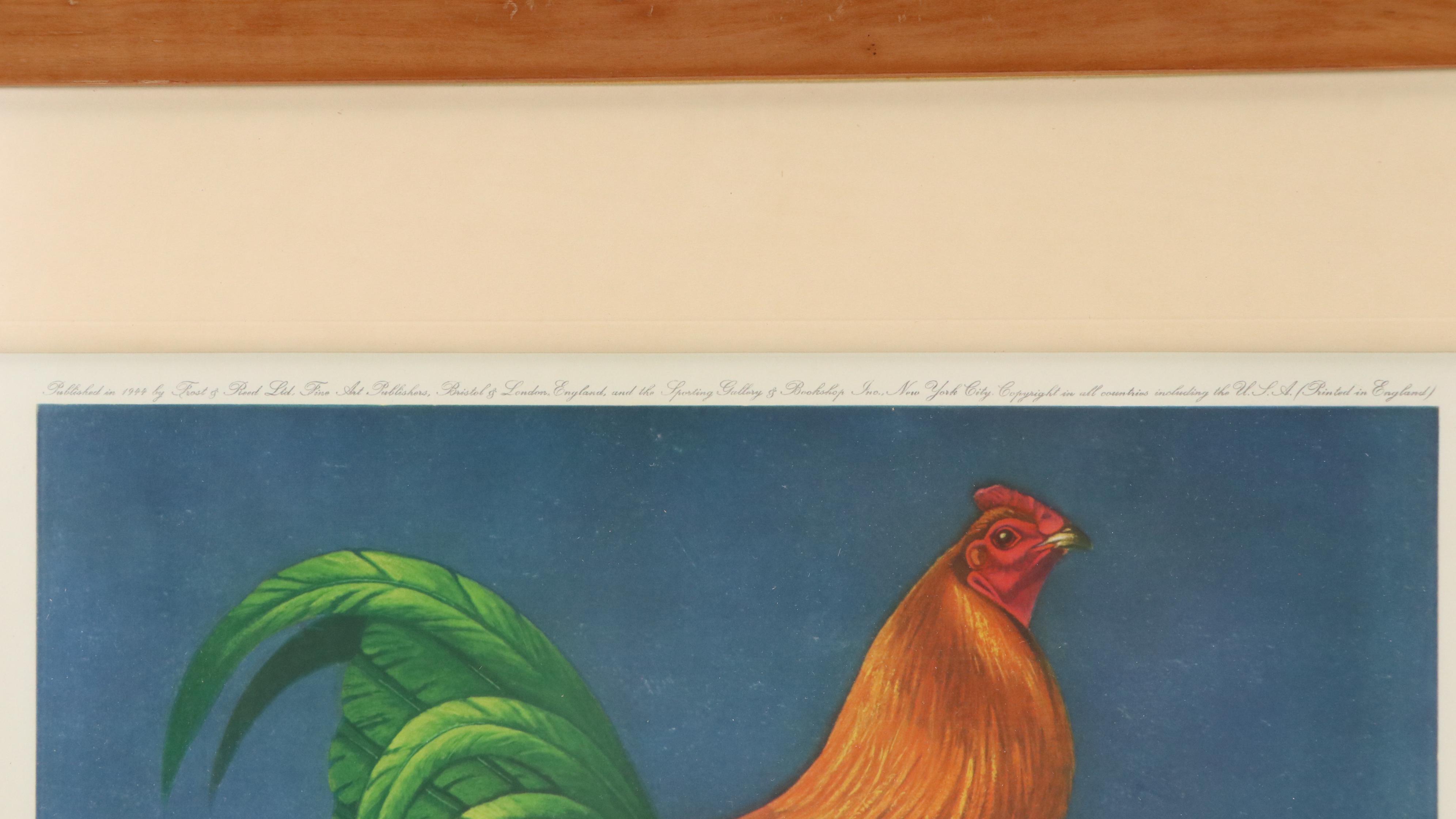 Courtenay Brandreth Collotype "The Wisconsin Red Shuffler," 1944