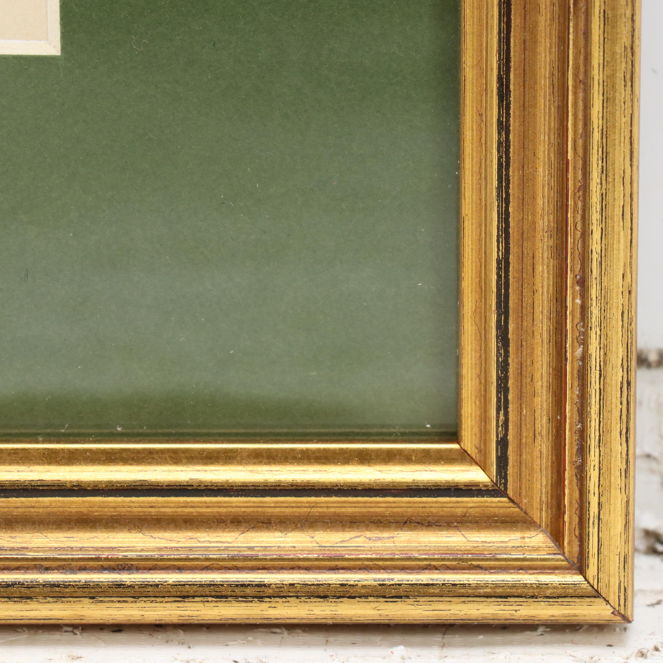 Botanical Chromolithographs from "The Wild Flowers of America"