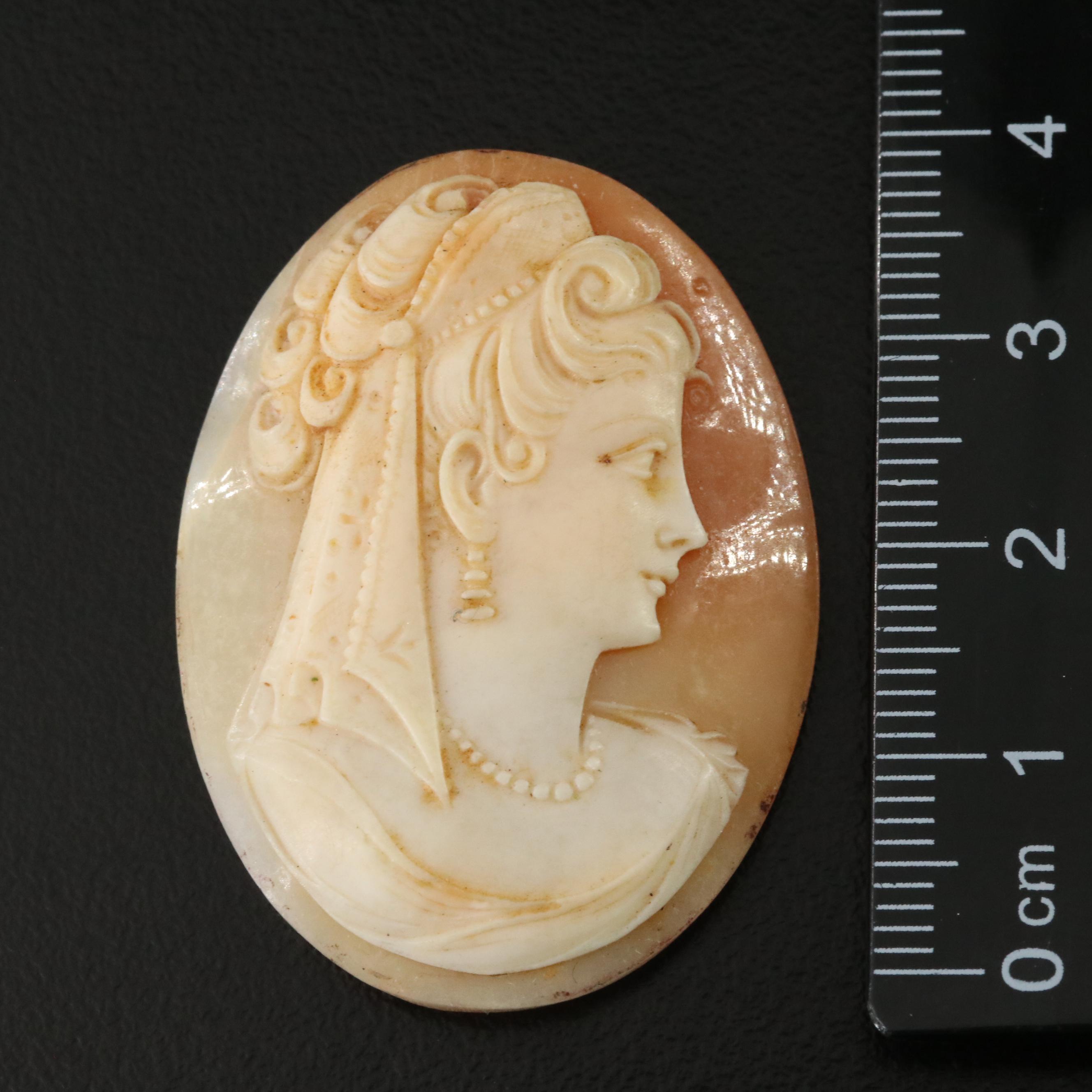 Loose Shell Cameo
