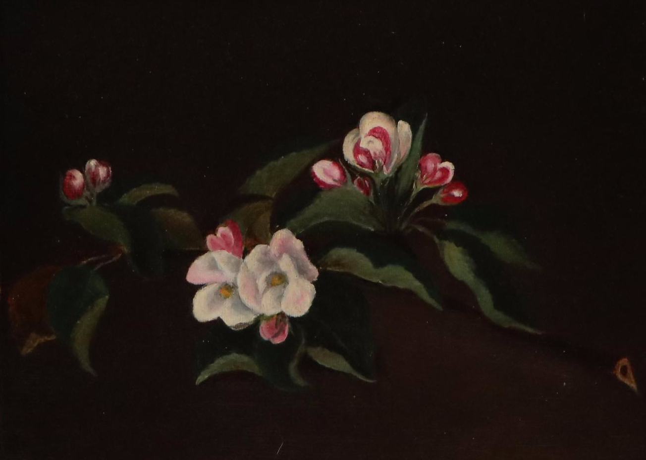 Still Life Oil on Canvas of Magnolia Bough, Late 19th C.