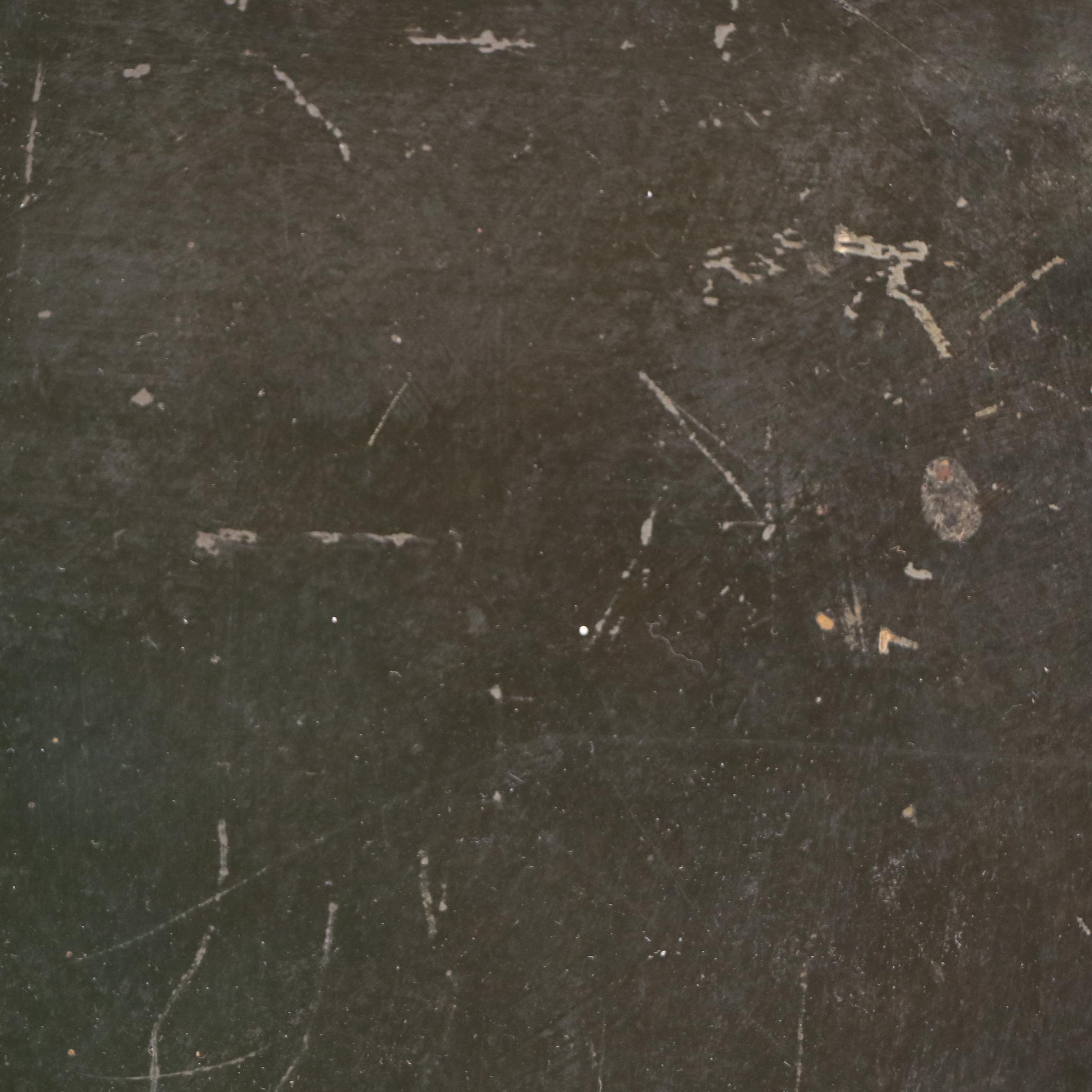 Oil Embellished Portrait Photograph of Gentlewoman, 1899