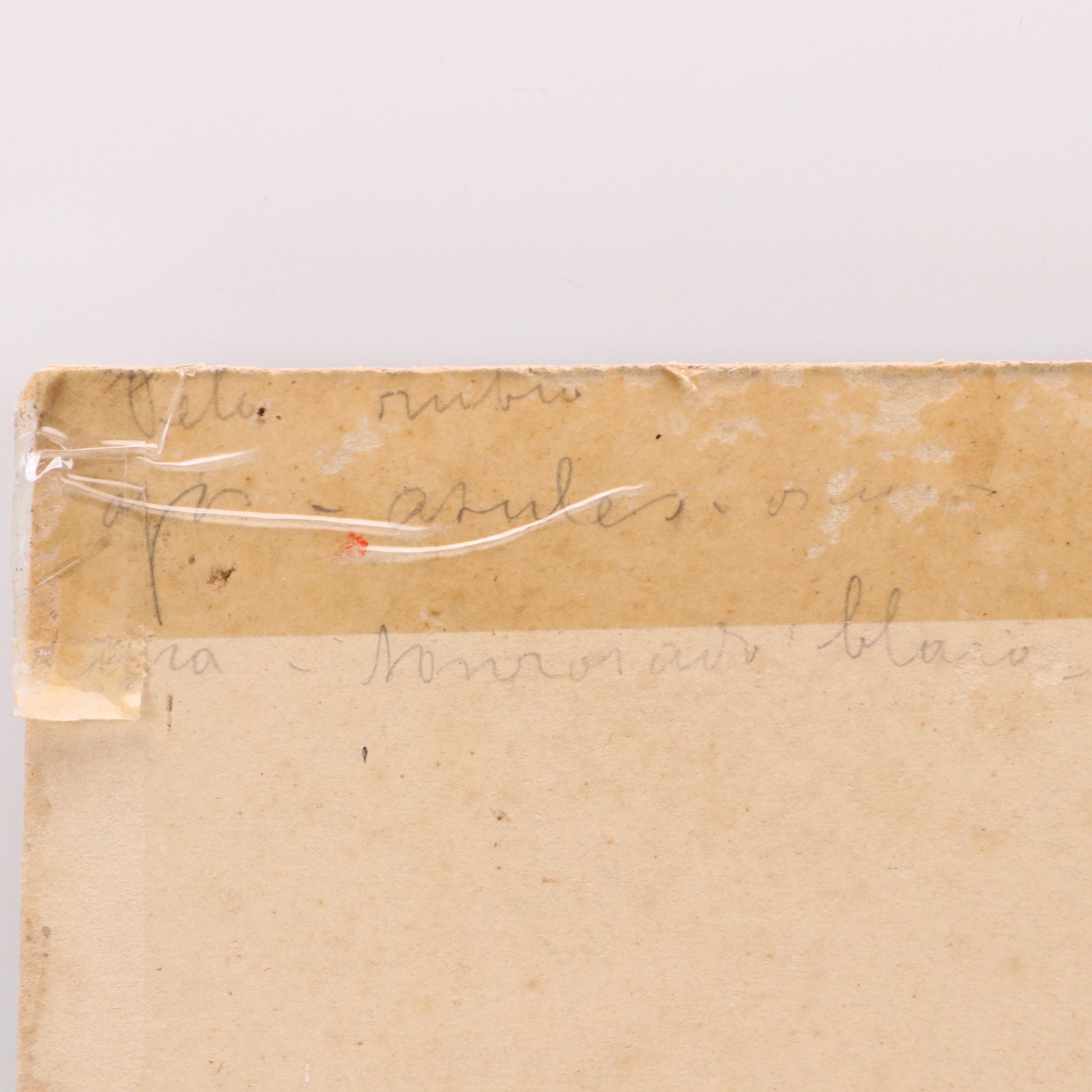 Oil Embellished Portrait Photograph of Gentlewoman, 1899