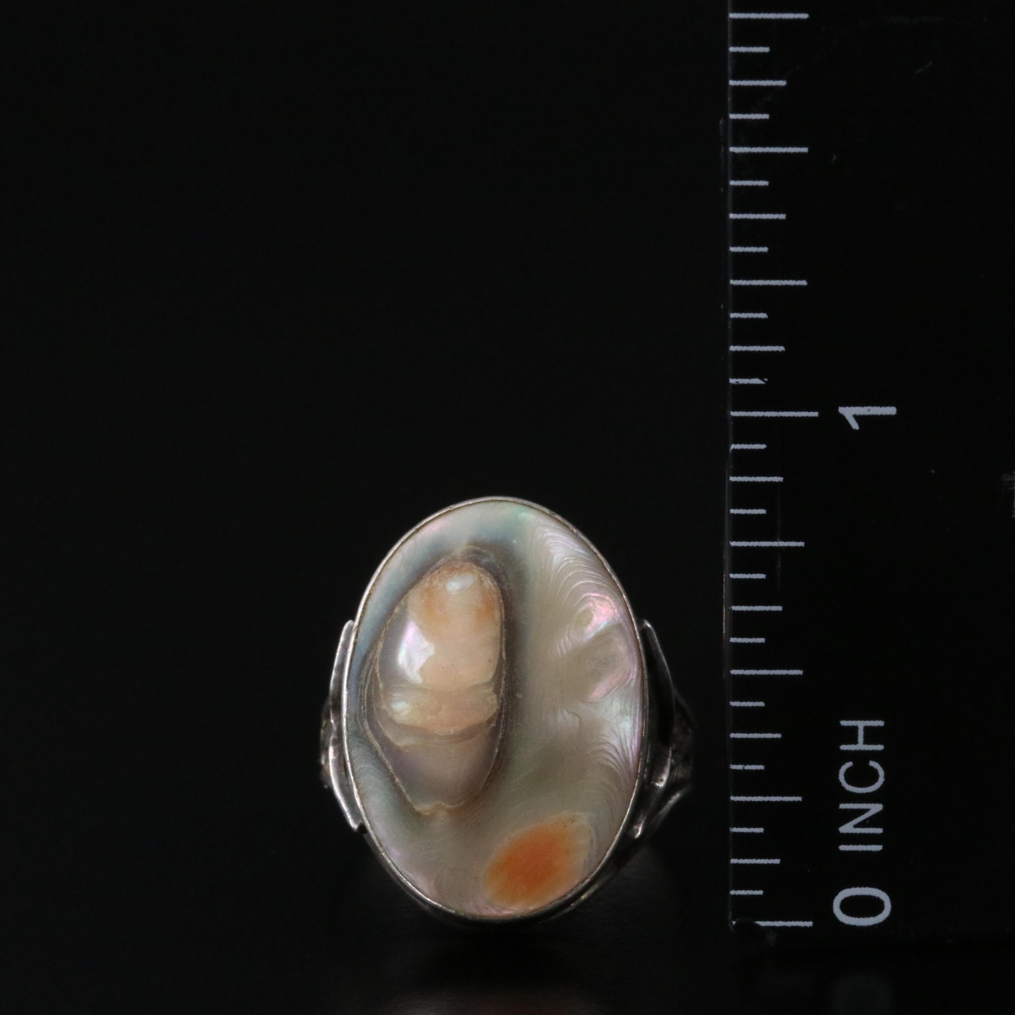 Antique Sterling Operculum Shell Ring