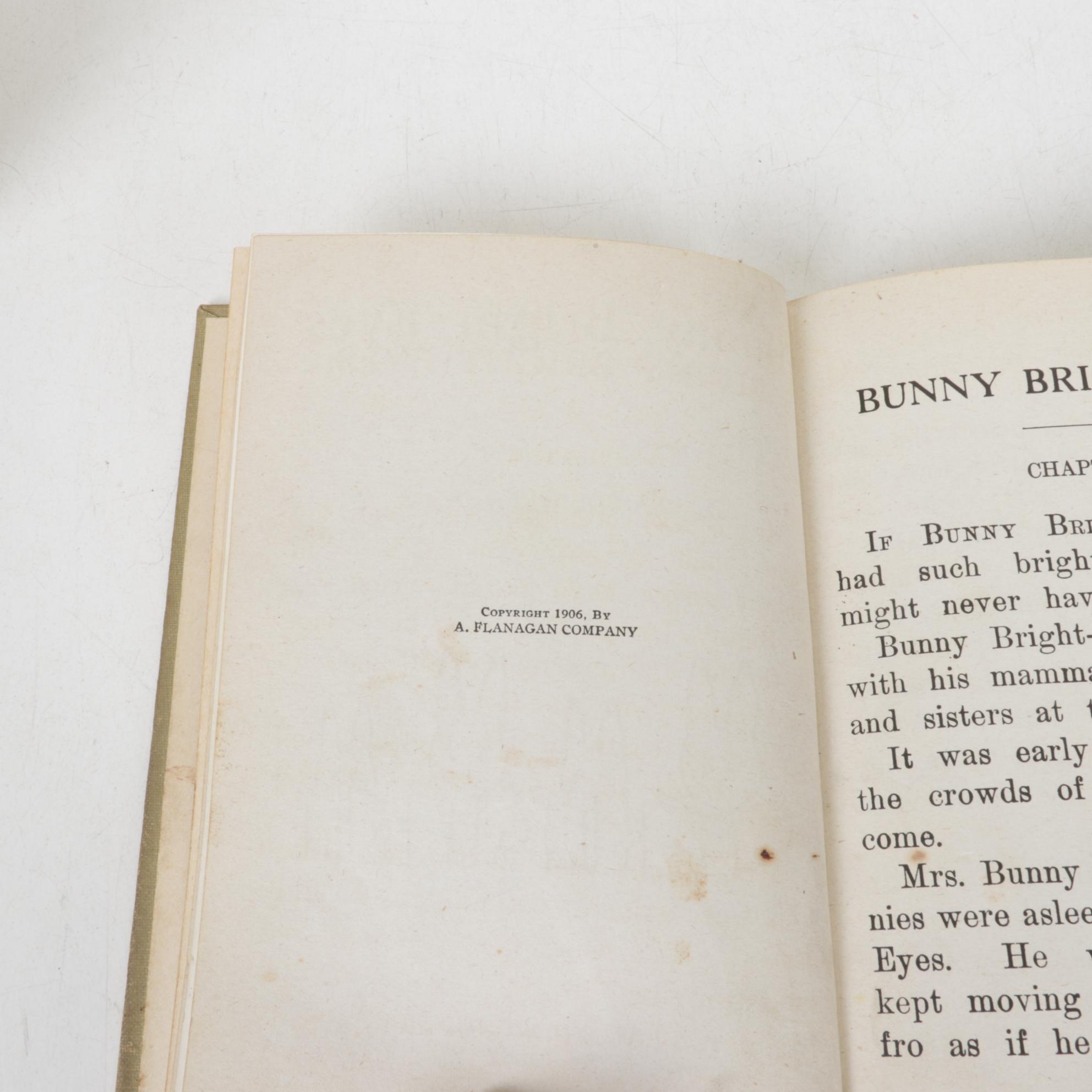 "Bunny Bright Eyes" by Laura R. Smith & Other Children's Story Books