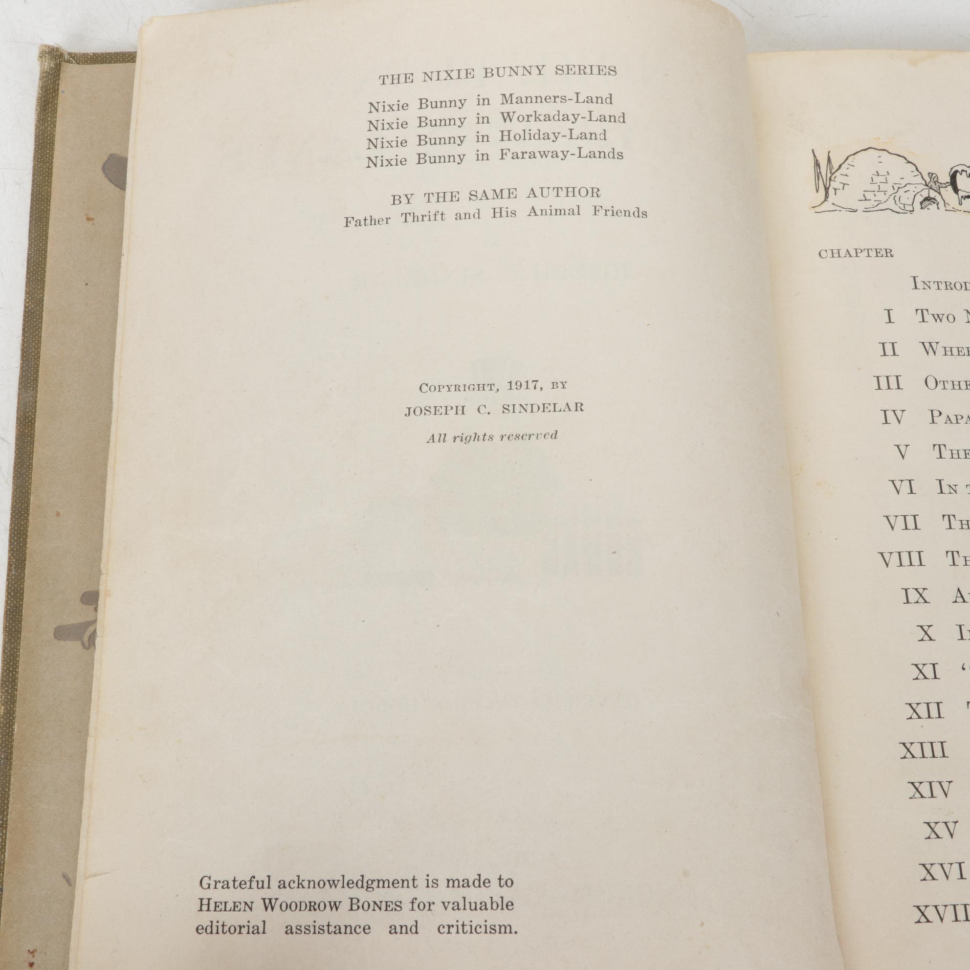 "Bunny Bright Eyes" by Laura R. Smith & Other Children's Story Books