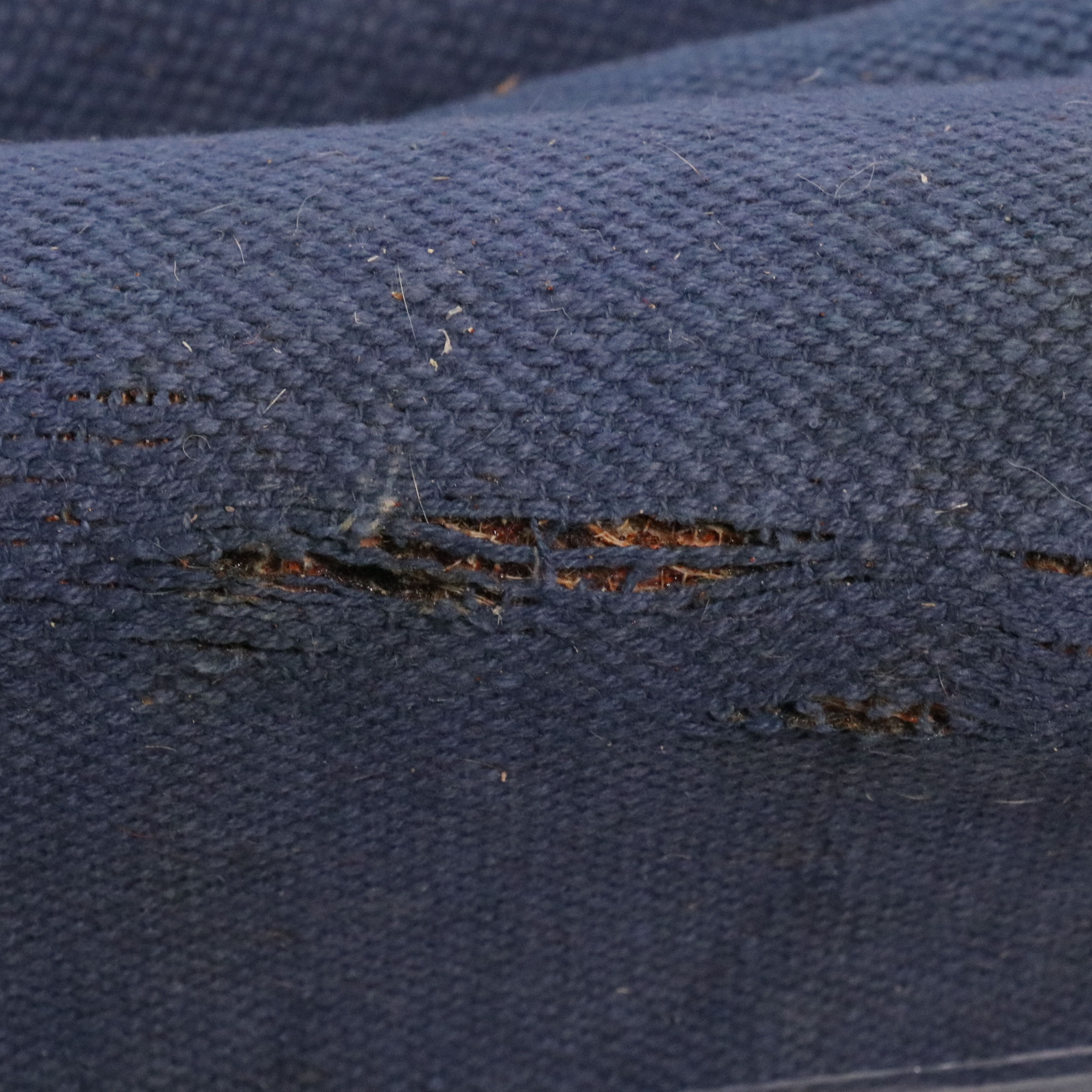 7'11 x 10'2 Hand-Tufted Indian Agra Area Rug