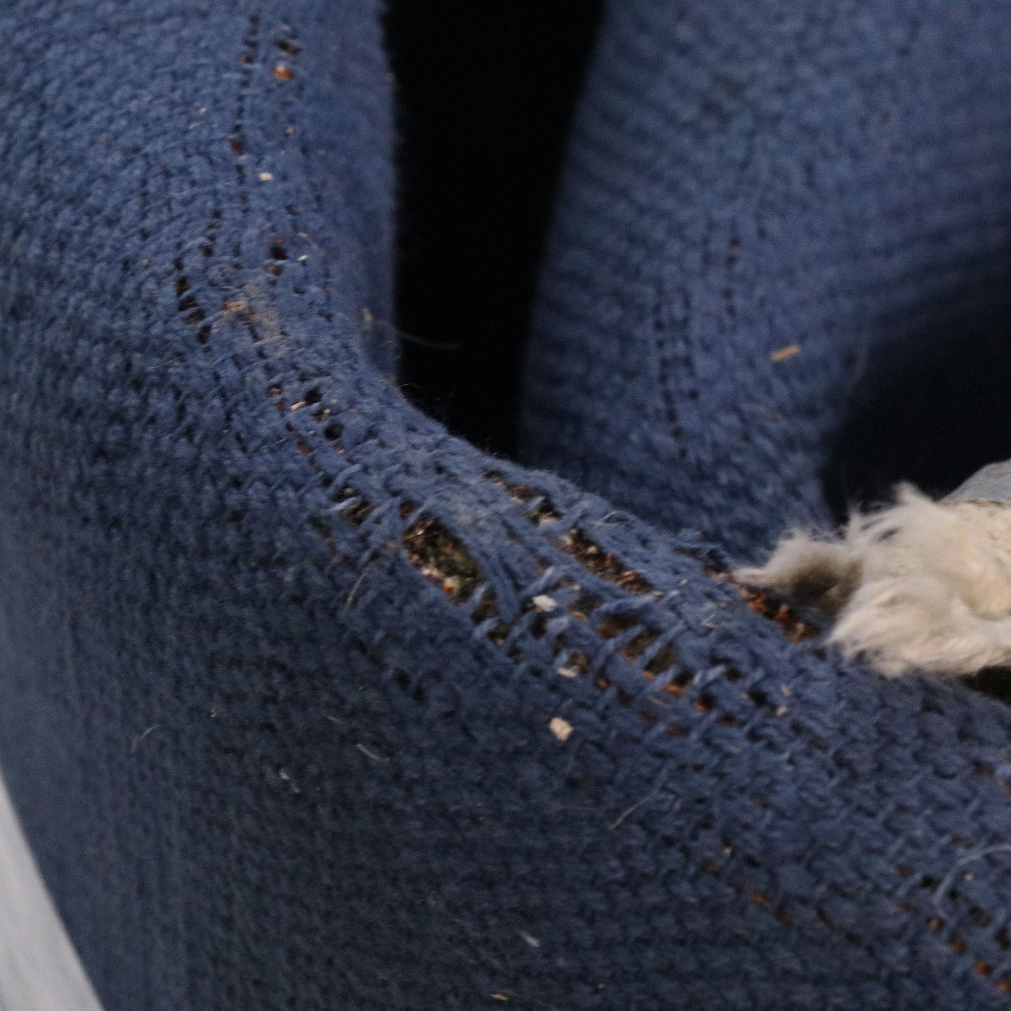 7'11 x 10'2 Hand-Tufted Indian Agra Area Rug